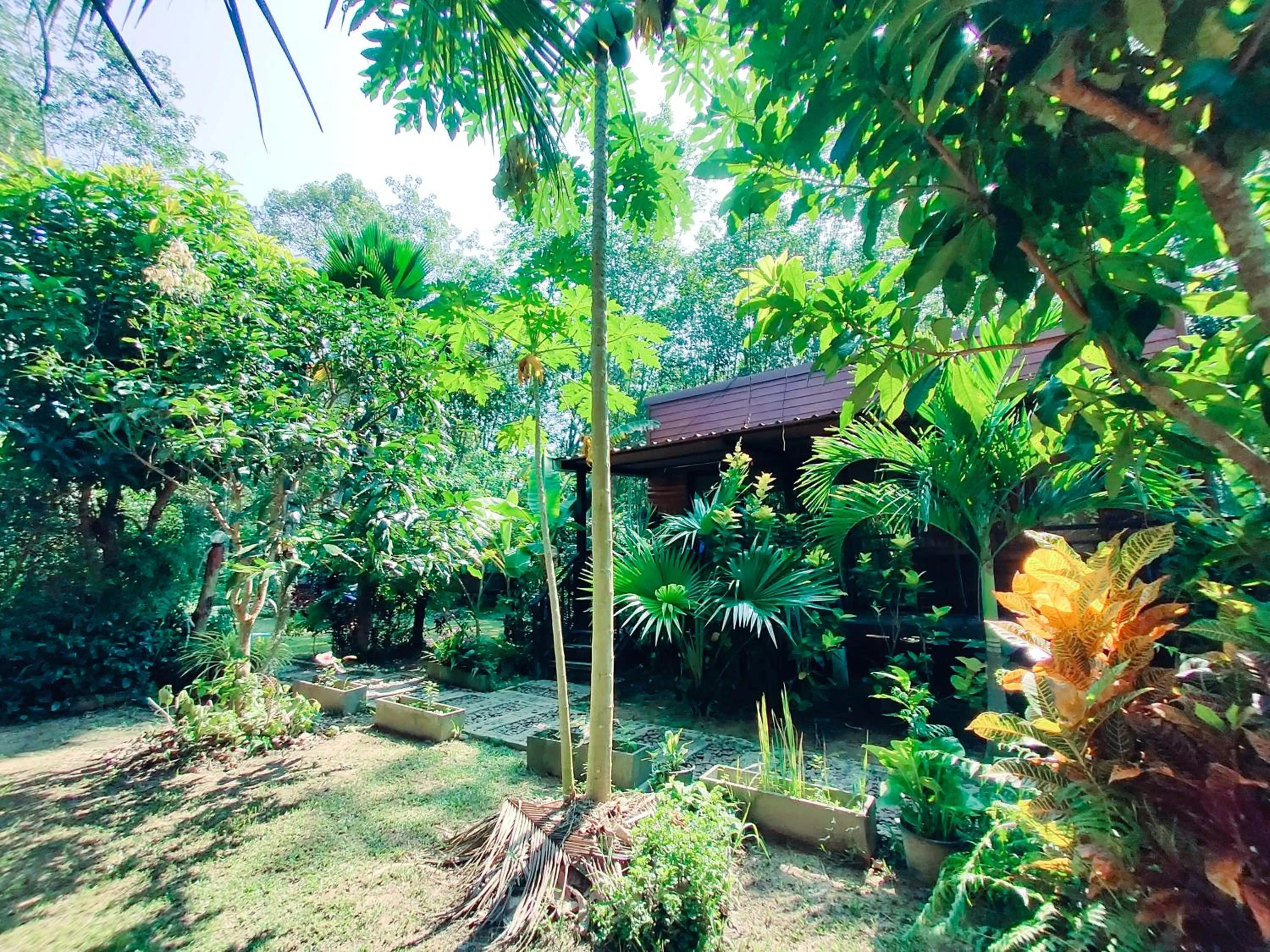 Natural landscape in Kohmook Nurse House