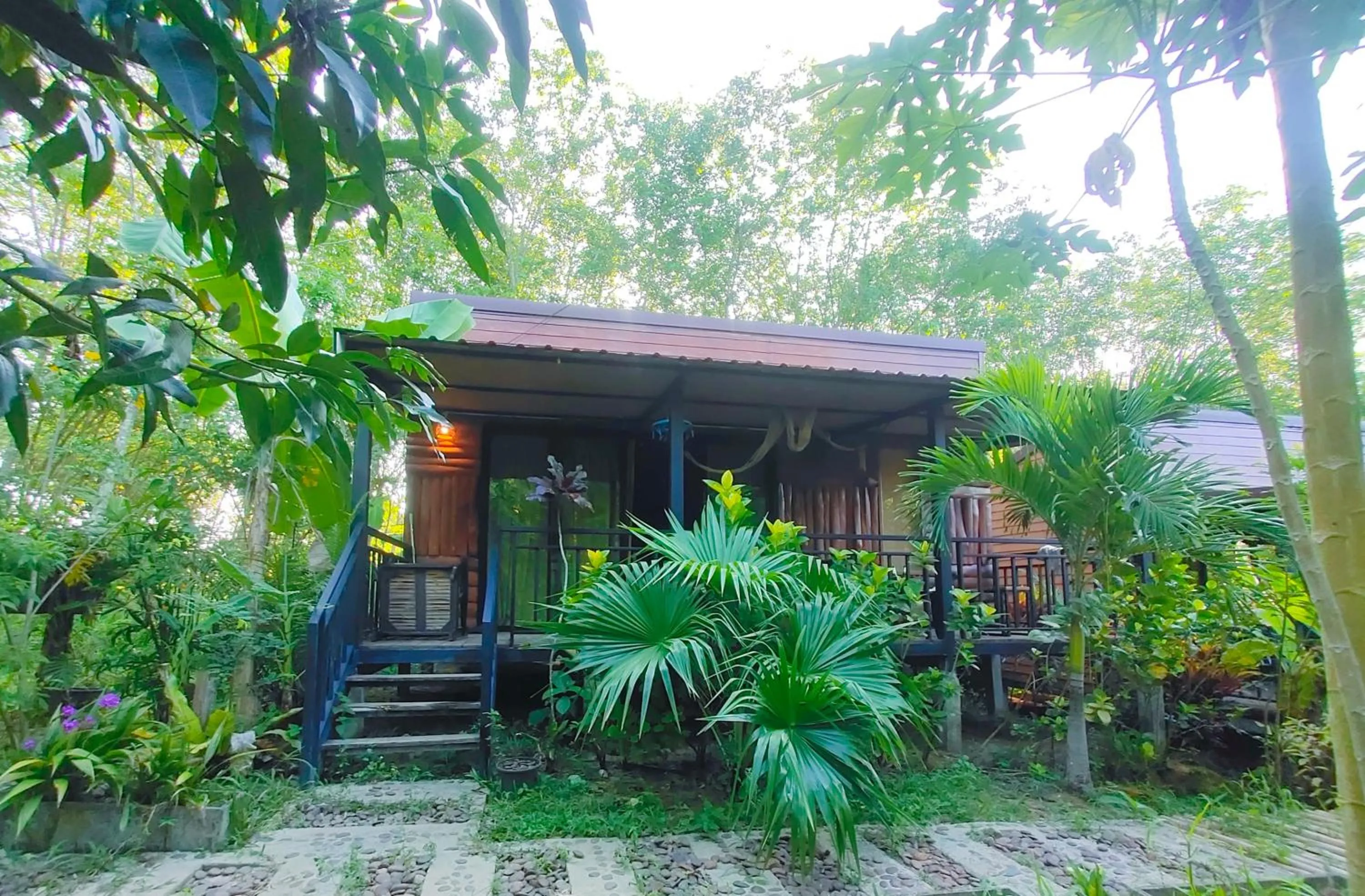 Garden view in Kohmook Nurse House