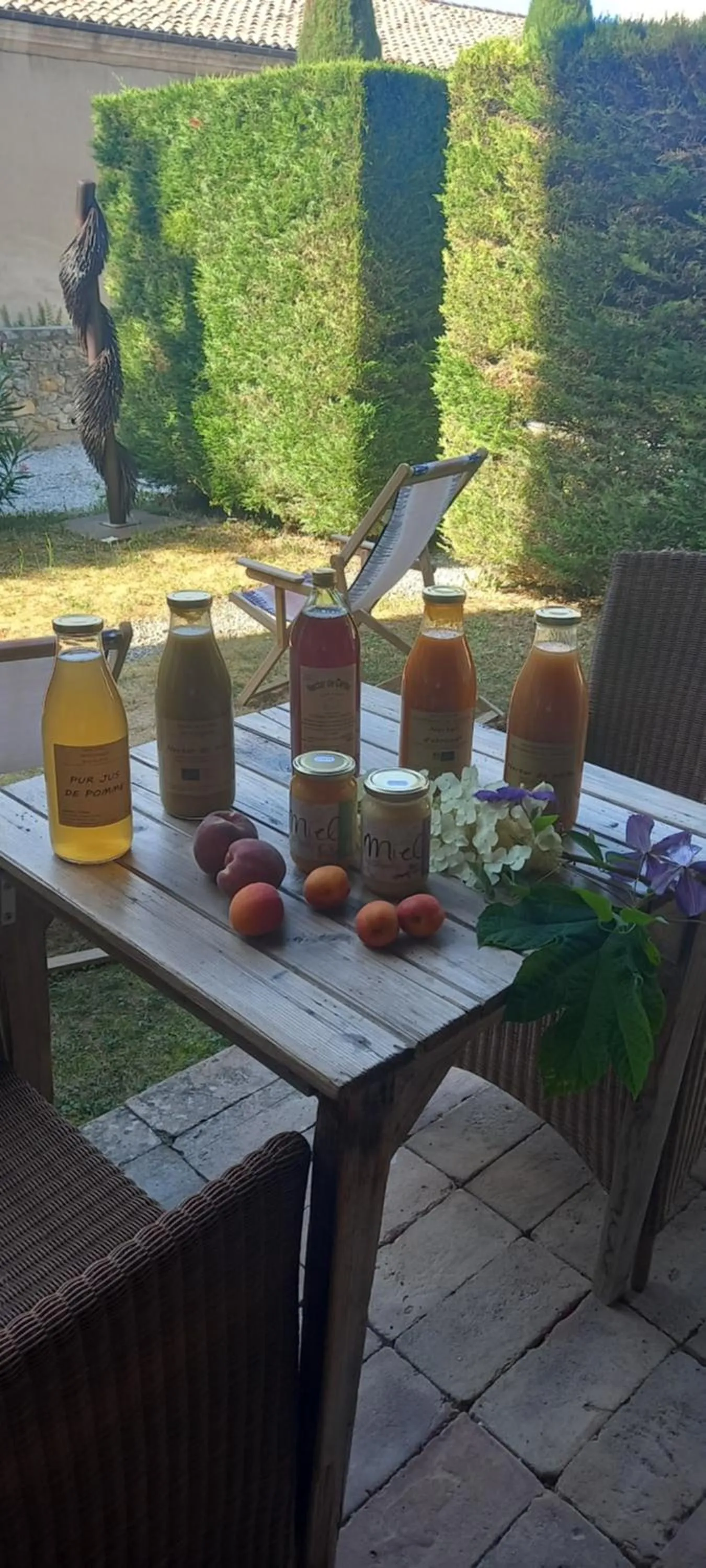 Garden in Hôtel de Mirmande