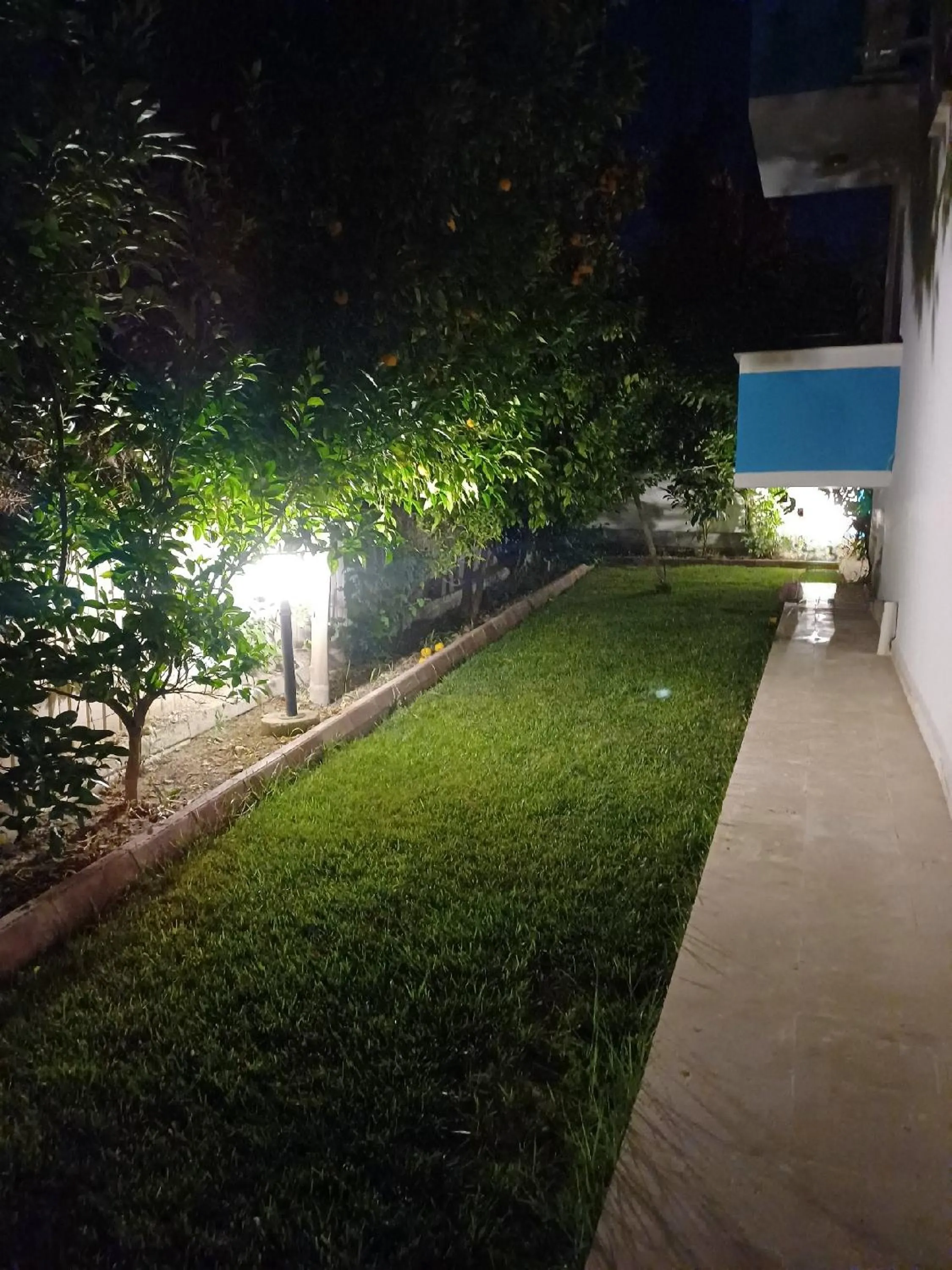 Garden in The Cotton House