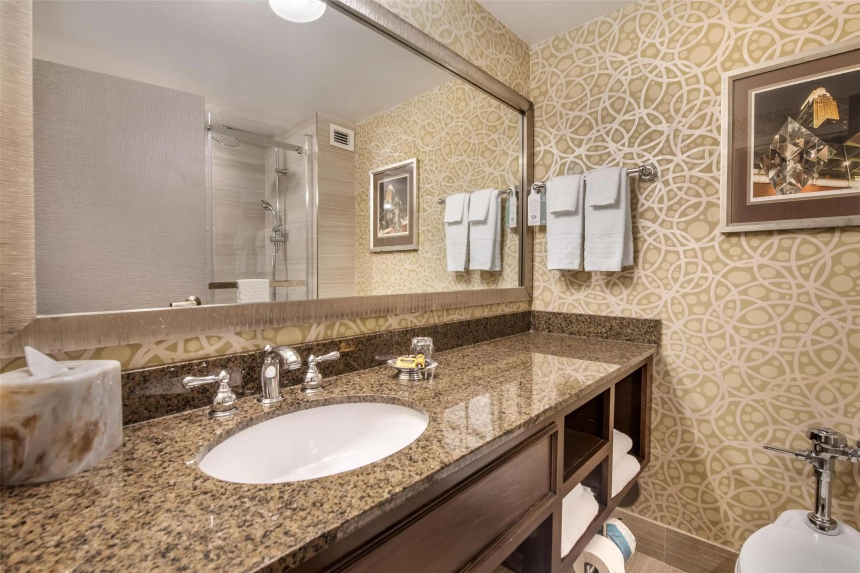 Bathroom in Best Western Plus The Normandy Inn & Suites