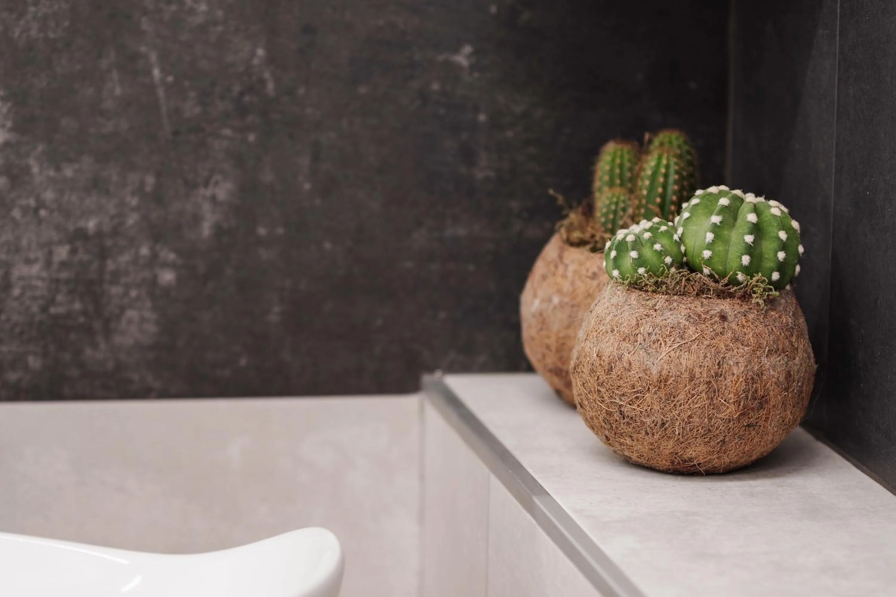 hair dresser in B&BO la Frasca