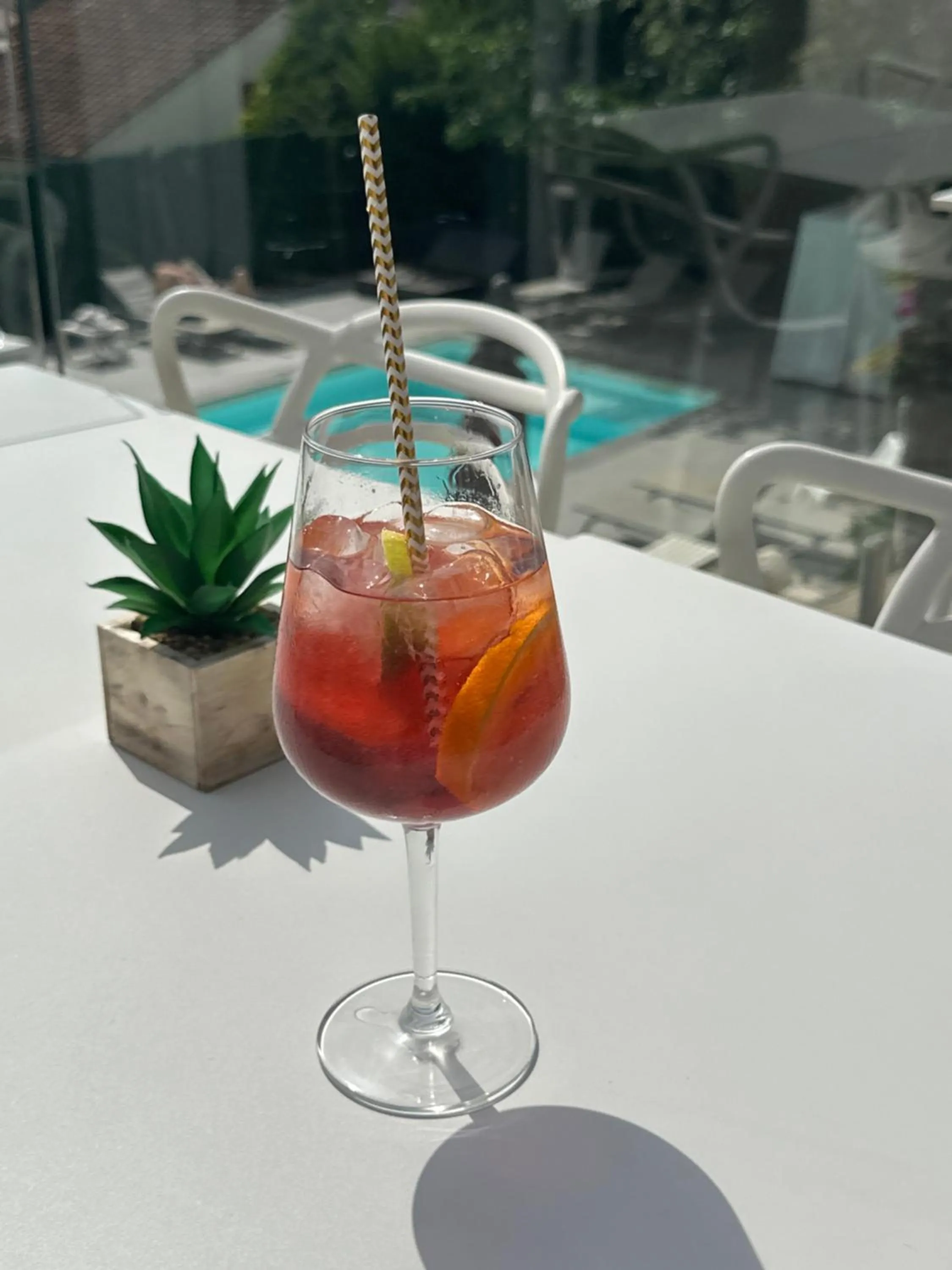 Lounge or bar in Hotel La Voile