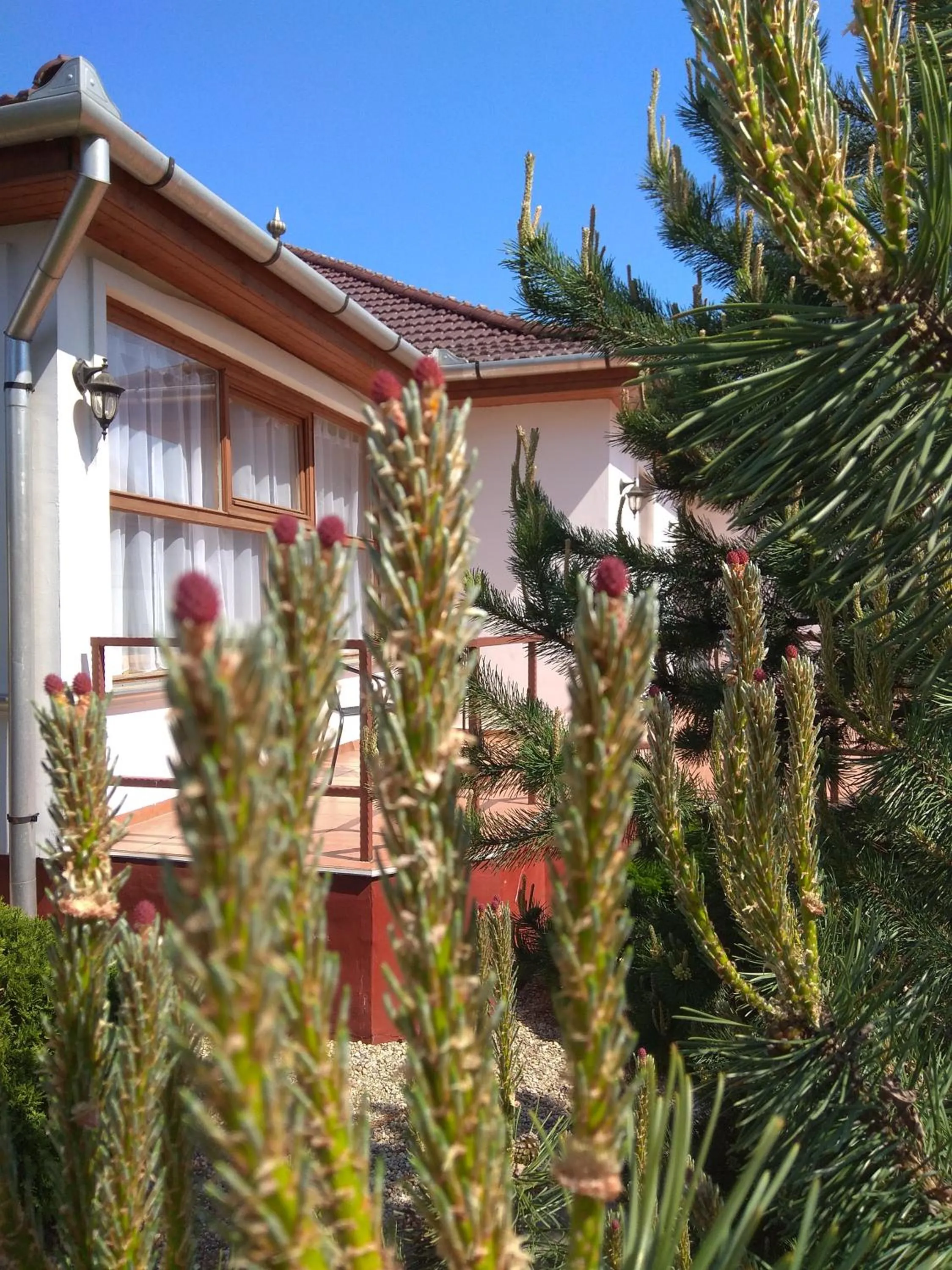 Garden in Nádas Pihenőpark