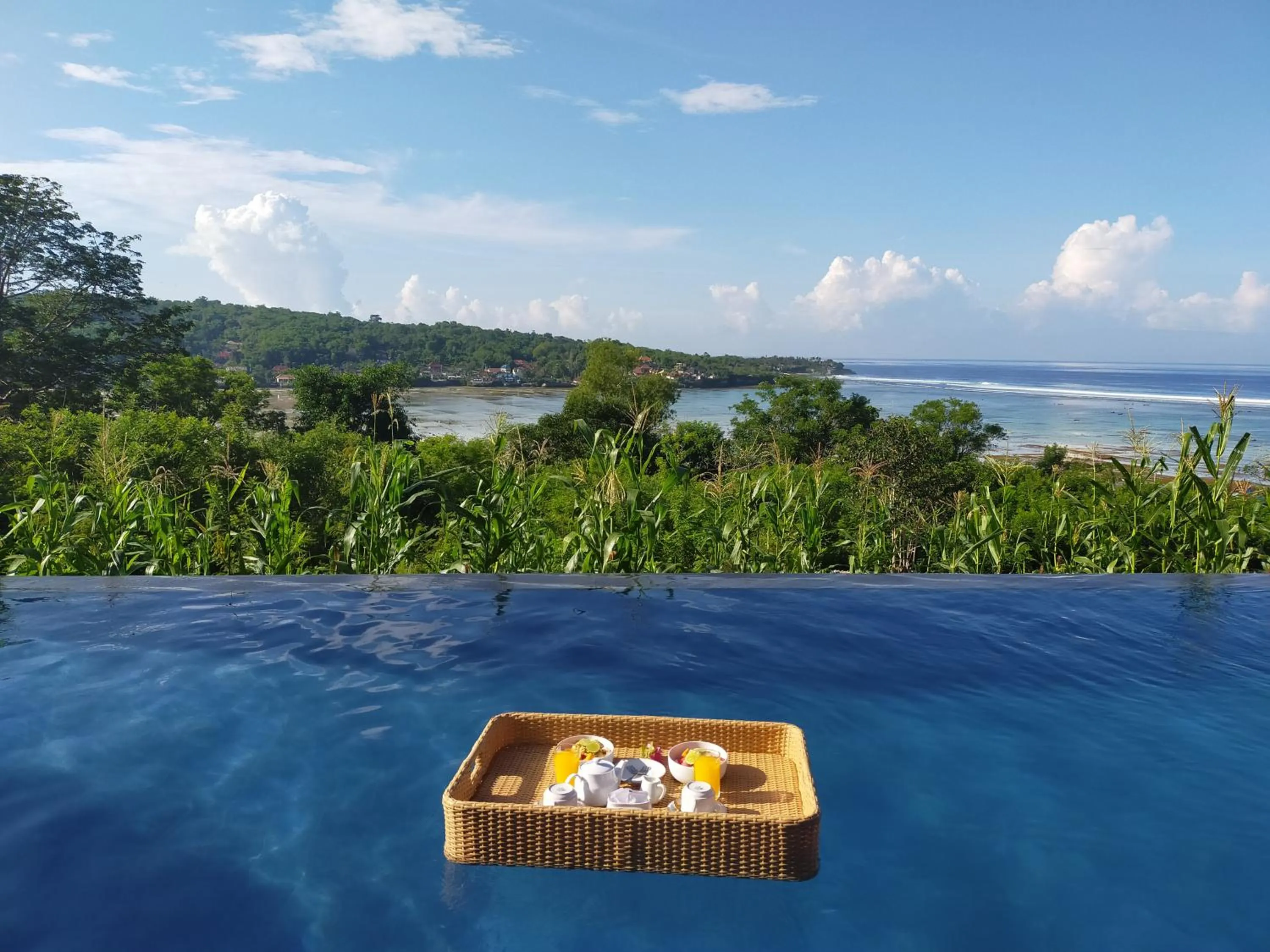 Ocean Paradise Cottage