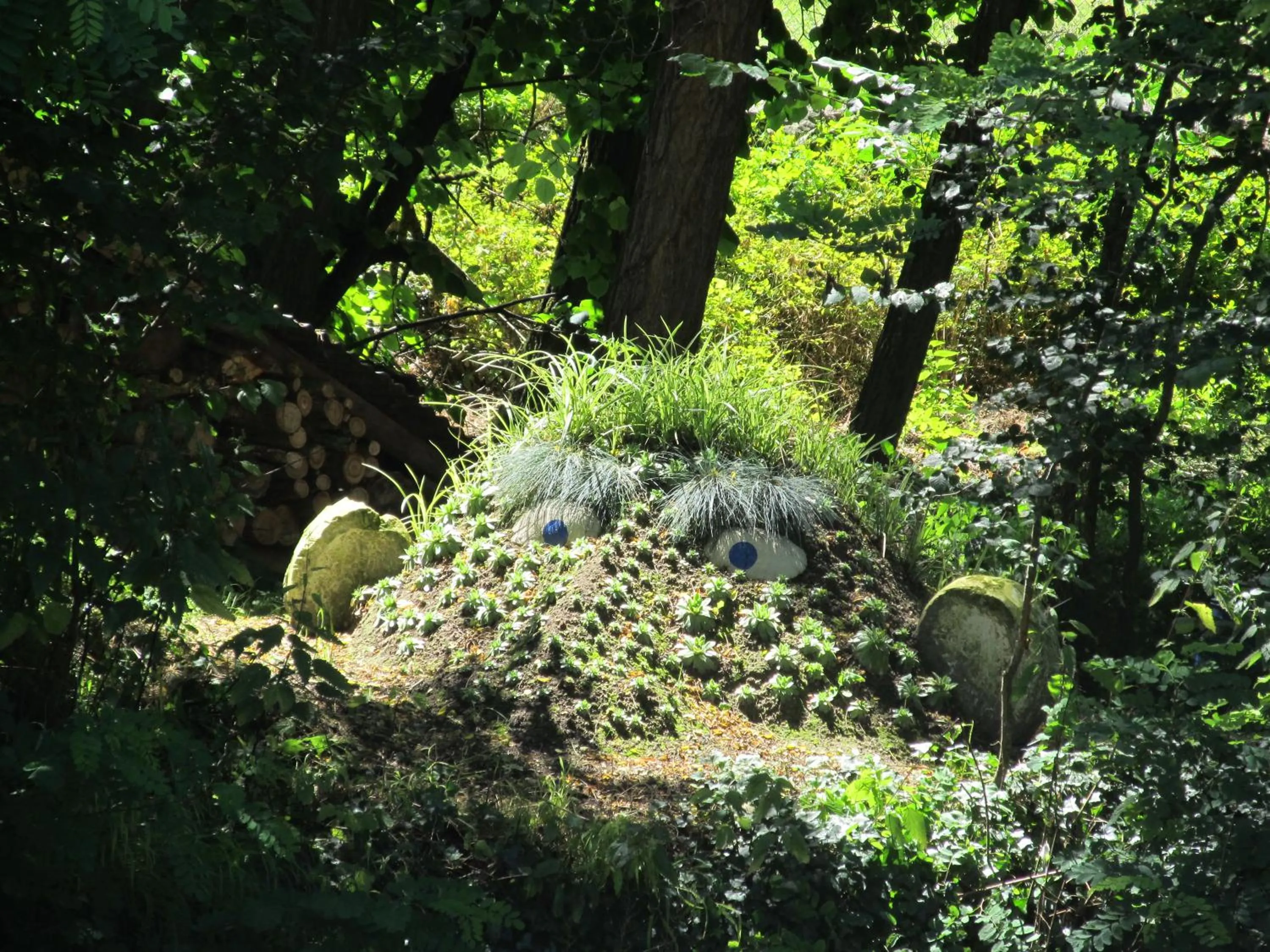 Garden view in Le Clos de la Garde