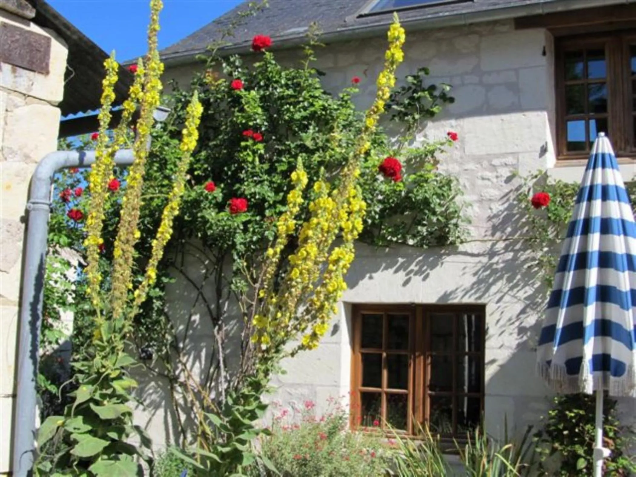 Patio in Le Clos de la Garde