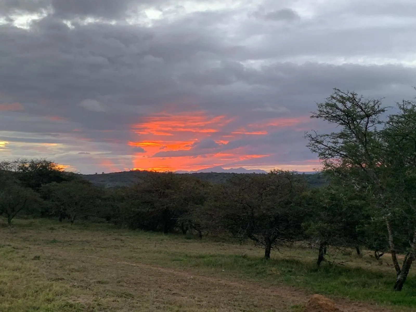 Natural landscape in Jbay Zebra Lodge