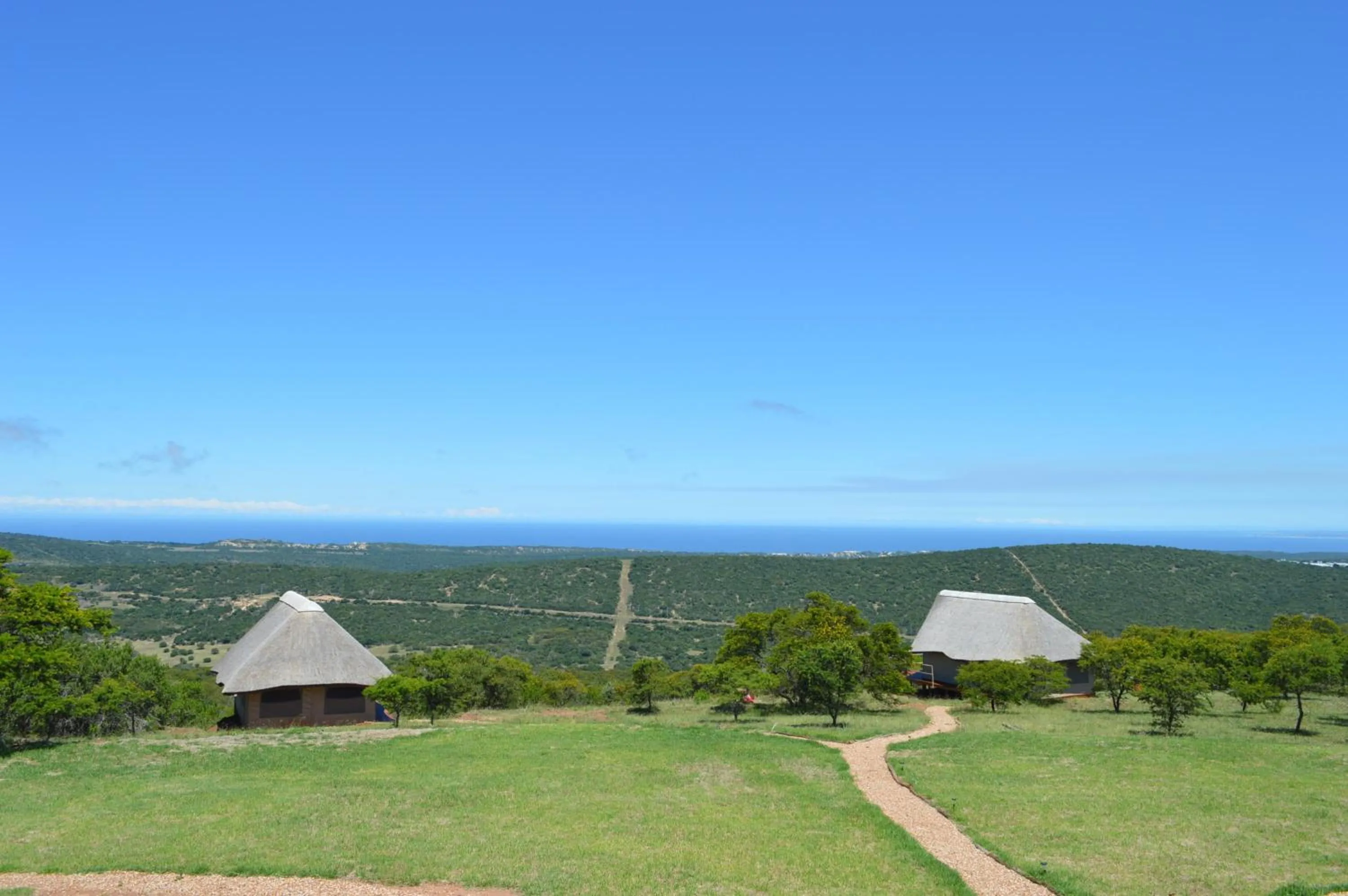 Natural landscape in Jbay Zebra Lodge