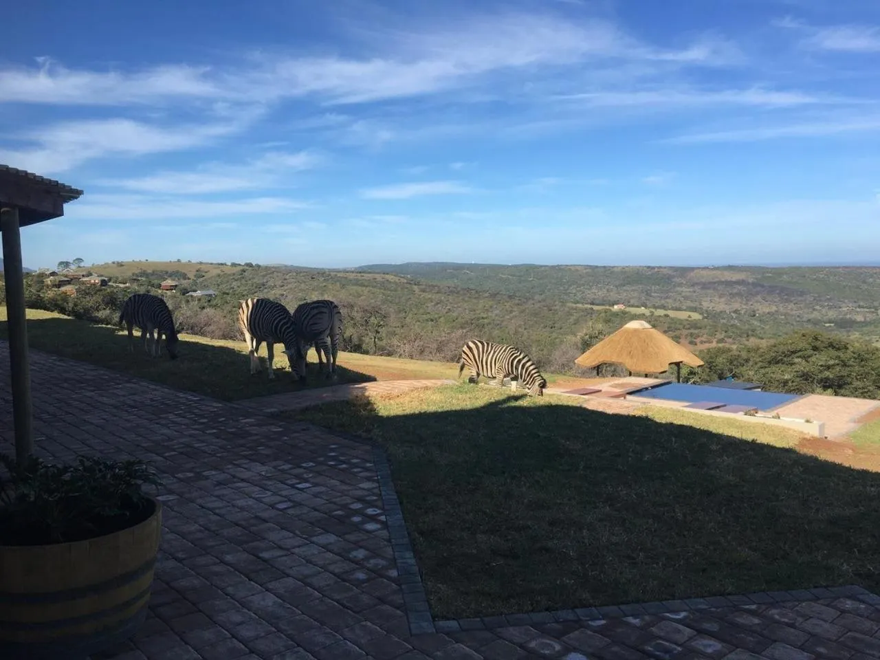Patio in Jbay Zebra Lodge