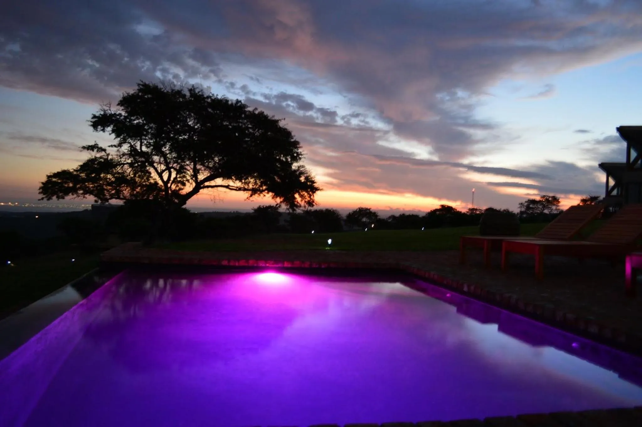 Natural landscape in Jbay Zebra Lodge