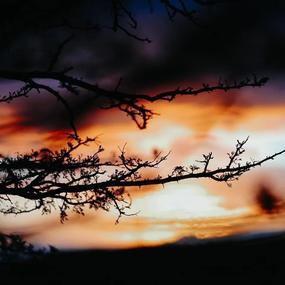 Property building in Jbay Zebra Lodge