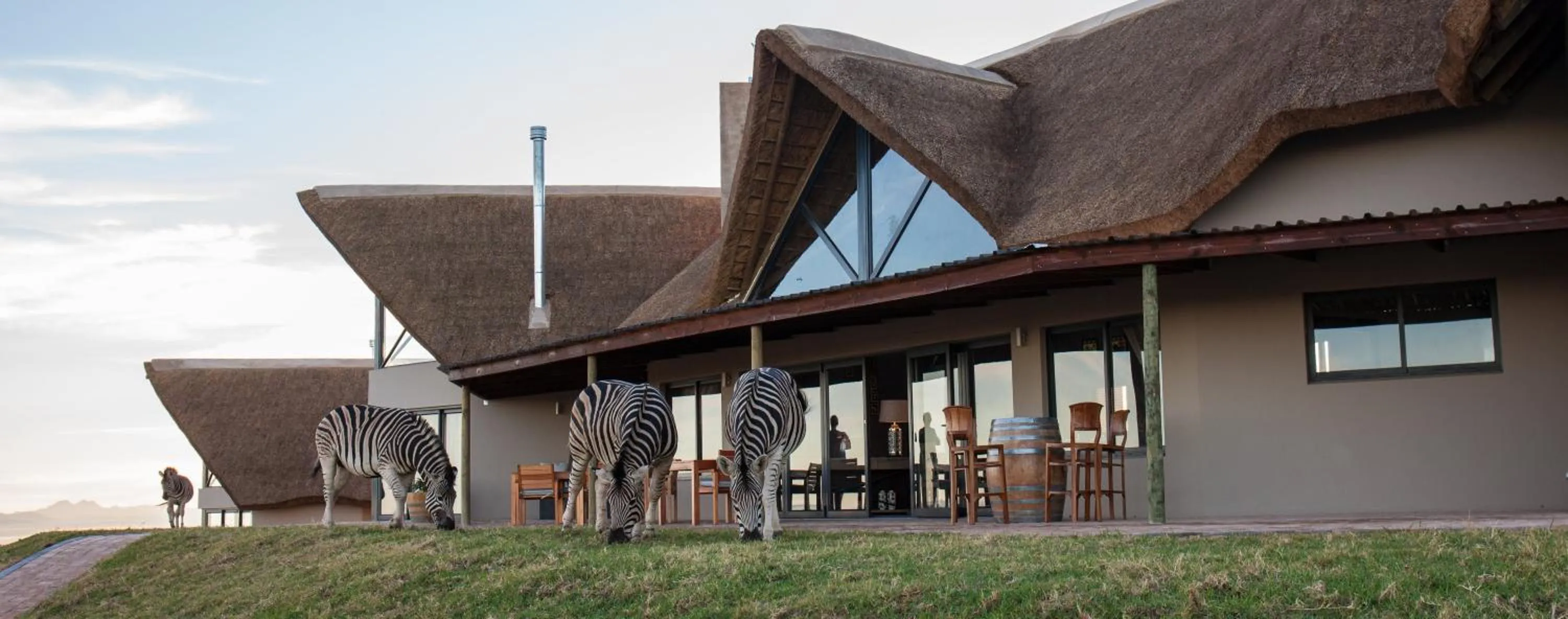 Property building in Jbay Zebra Lodge