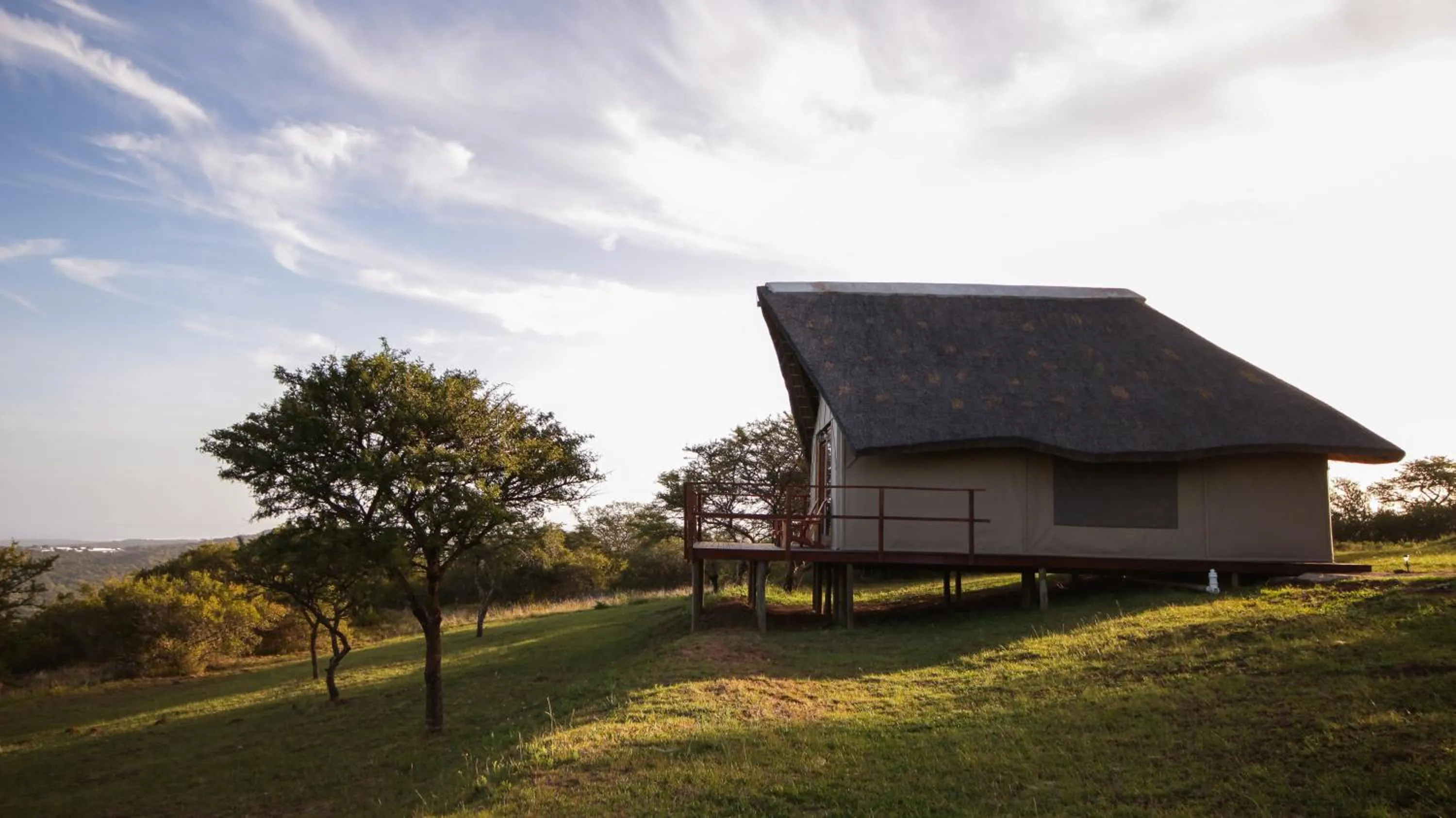 Garden view in Jbay Zebra Lodge