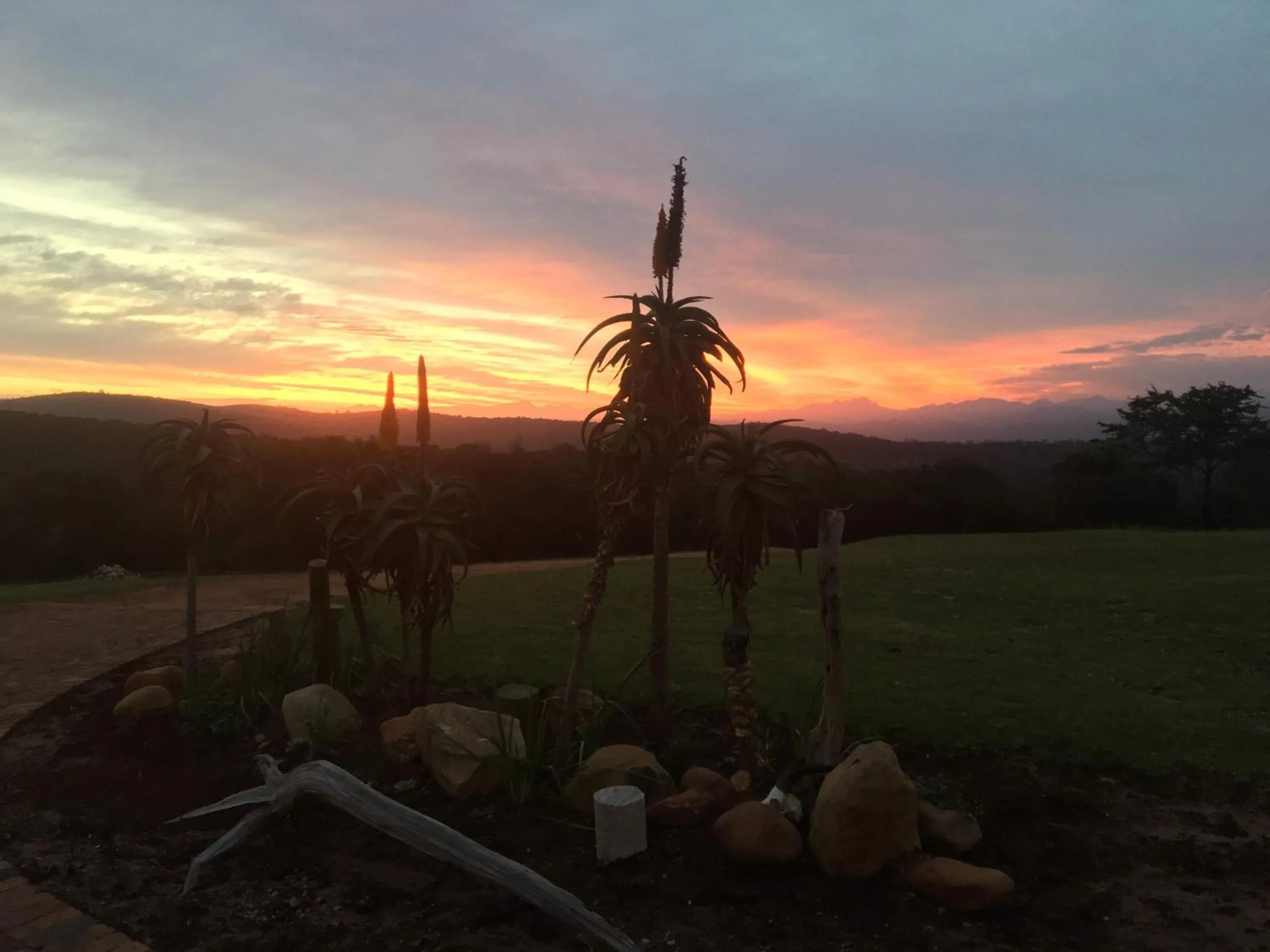 Garden view in Jbay Zebra Lodge