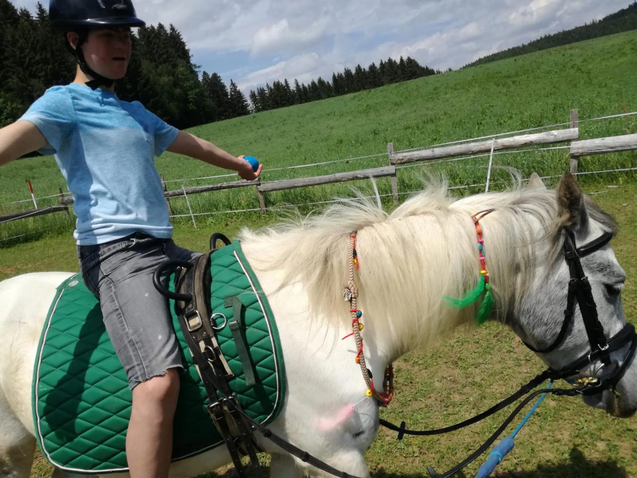 Horse-riding in Gasthof Zum Kramer