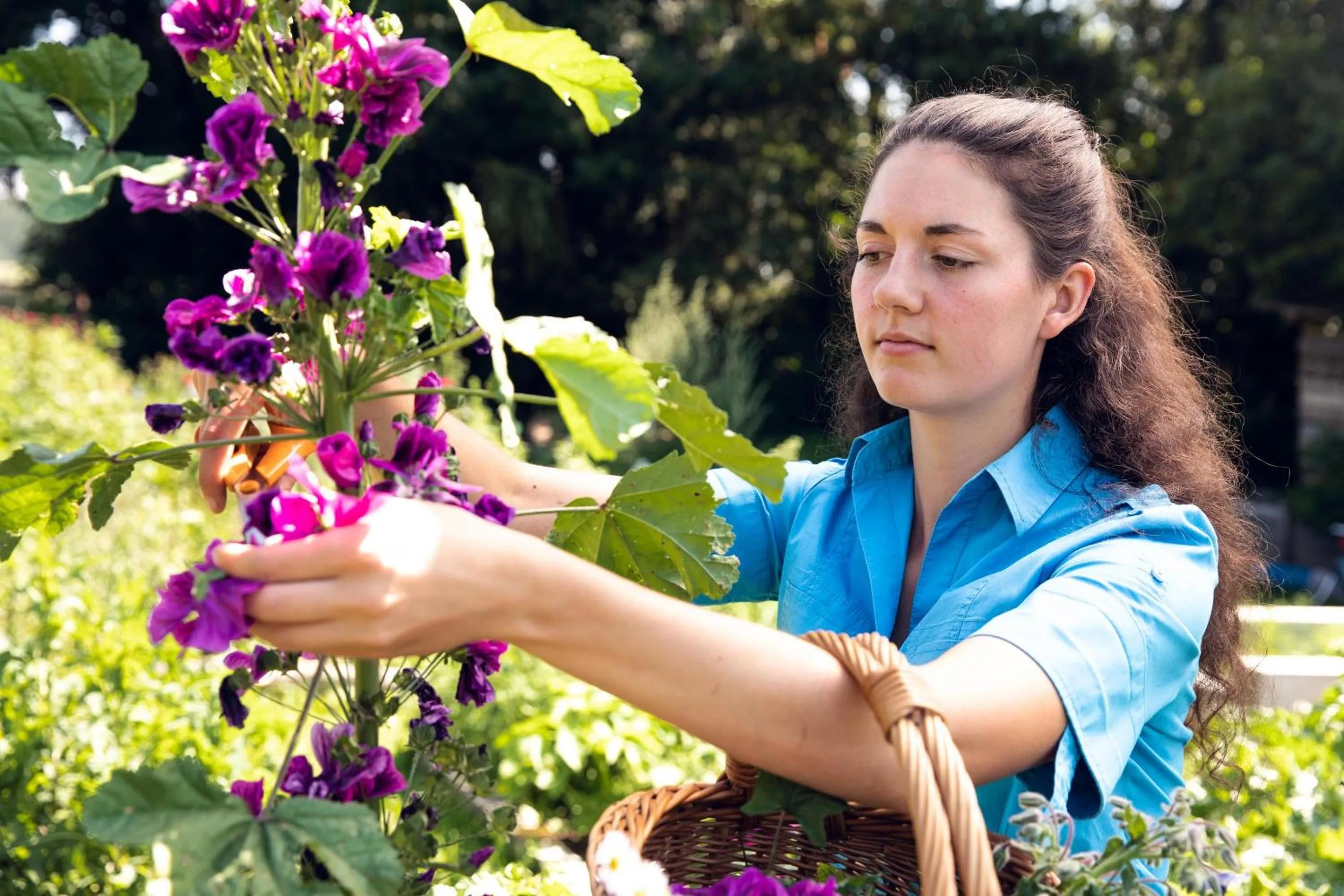 Garden in Gasthof Zum Kramer
