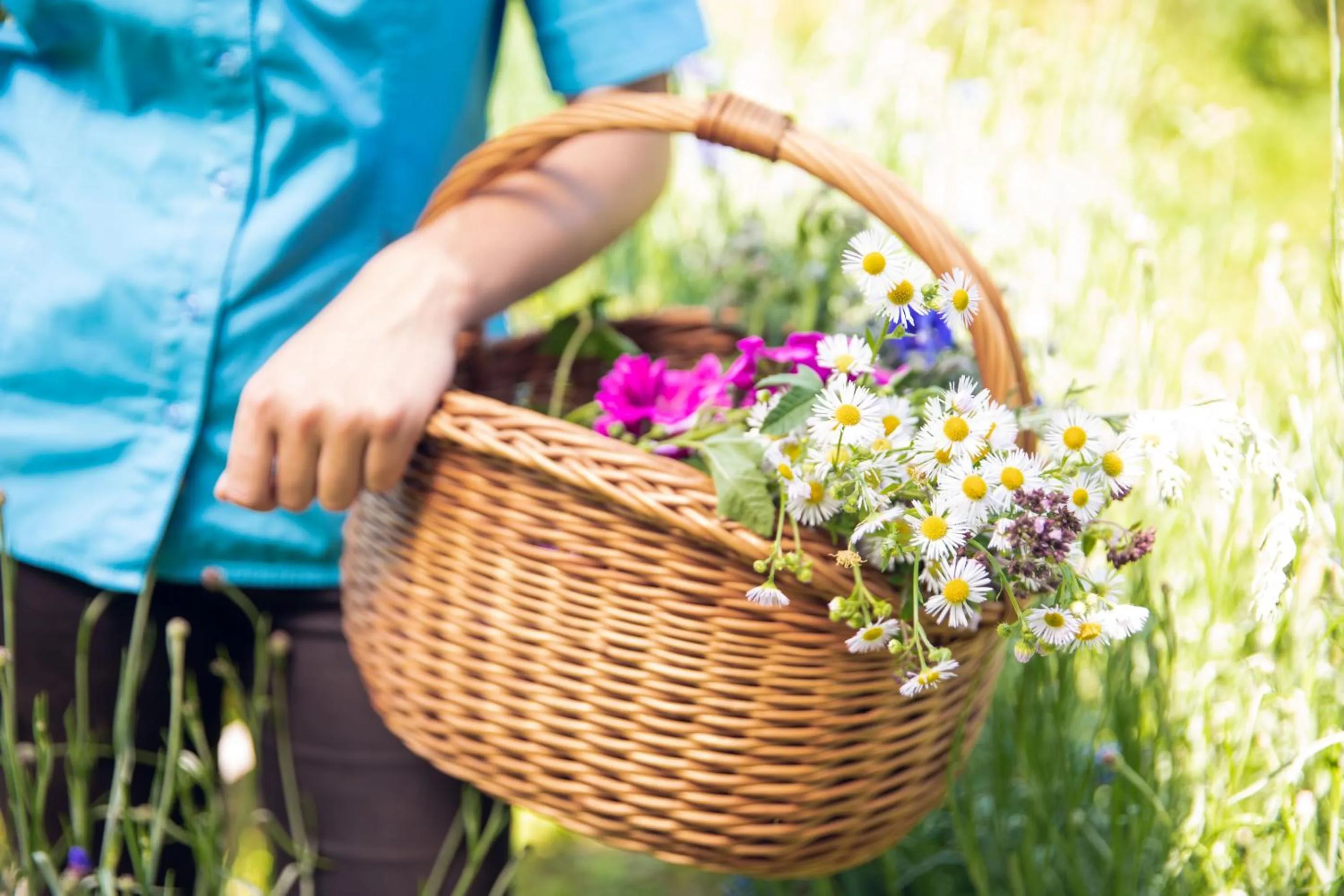 Garden in Gasthof Zum Kramer