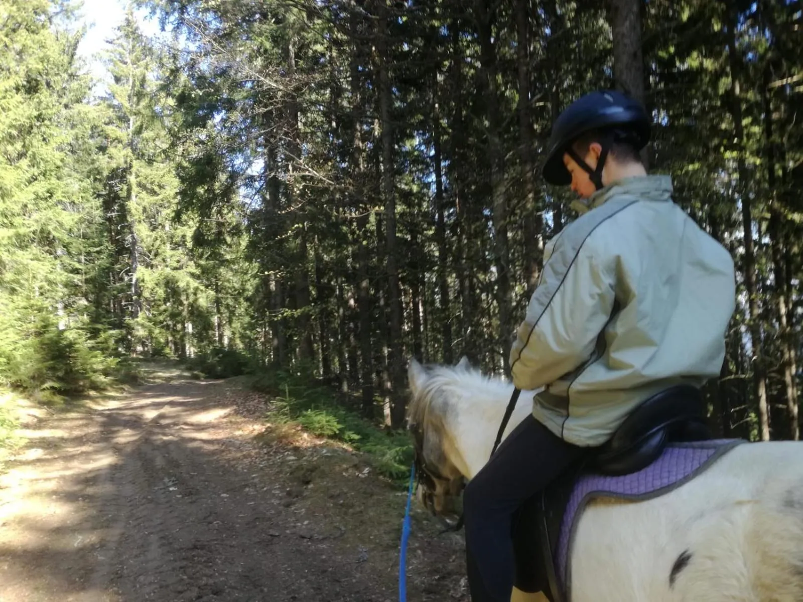 Horse-riding in Gasthof Zum Kramer