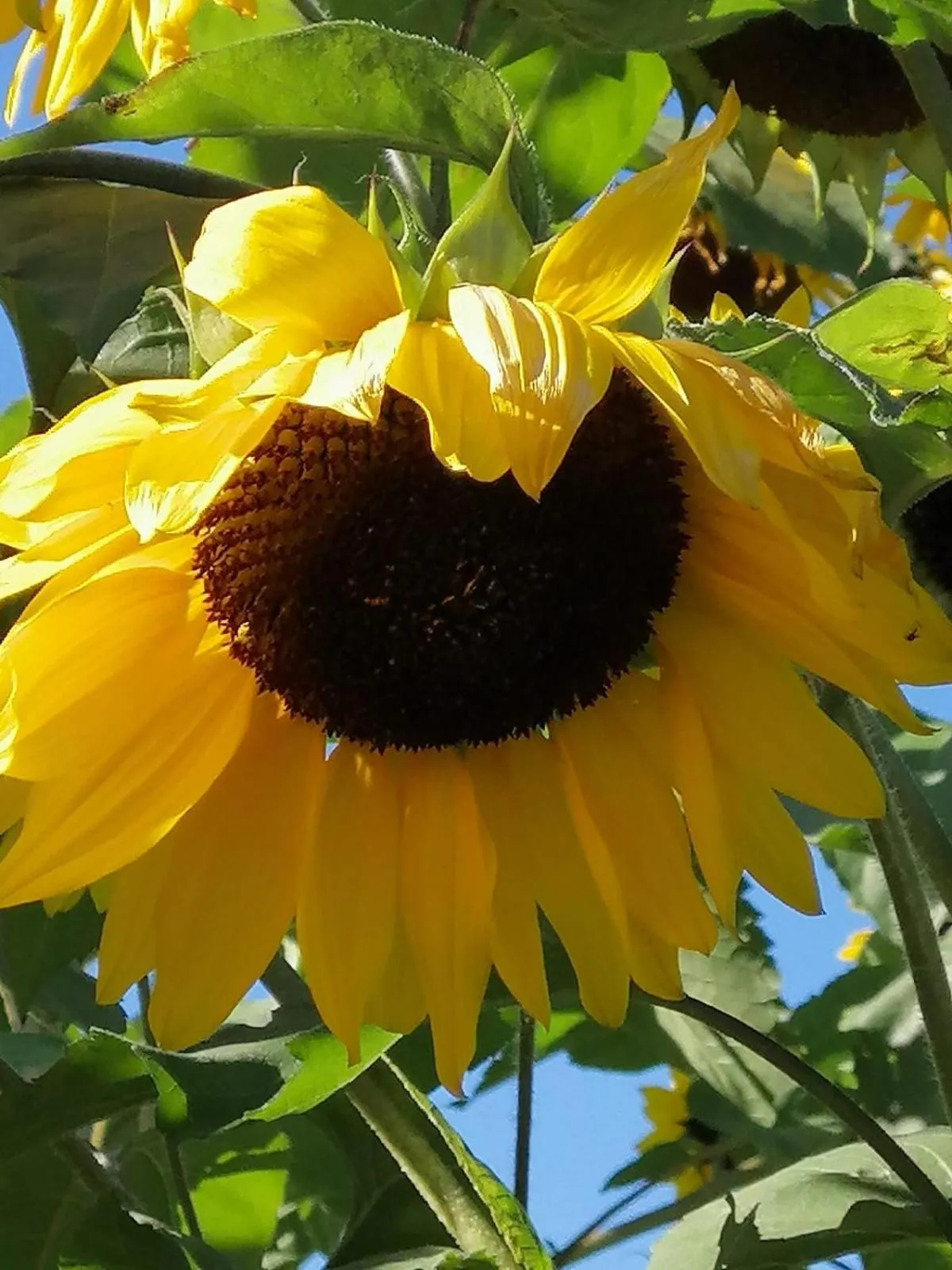 Day in Gasthof Zum Kramer