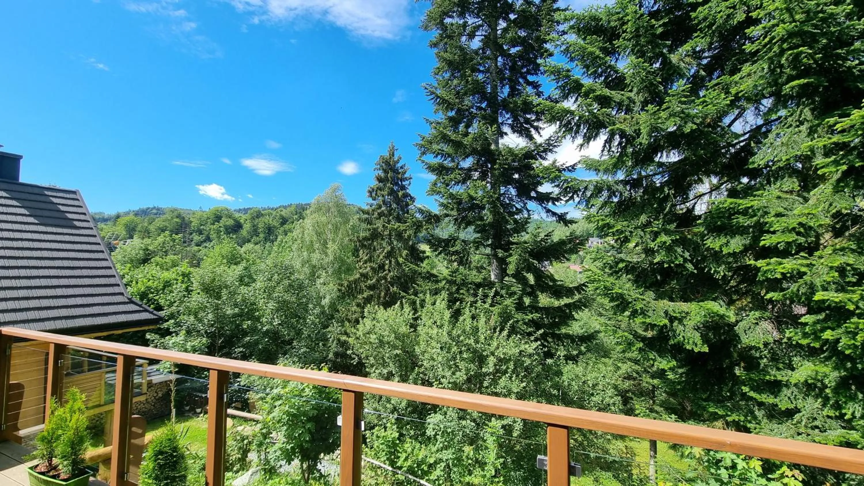 Garden in Rezydencja Barrettski