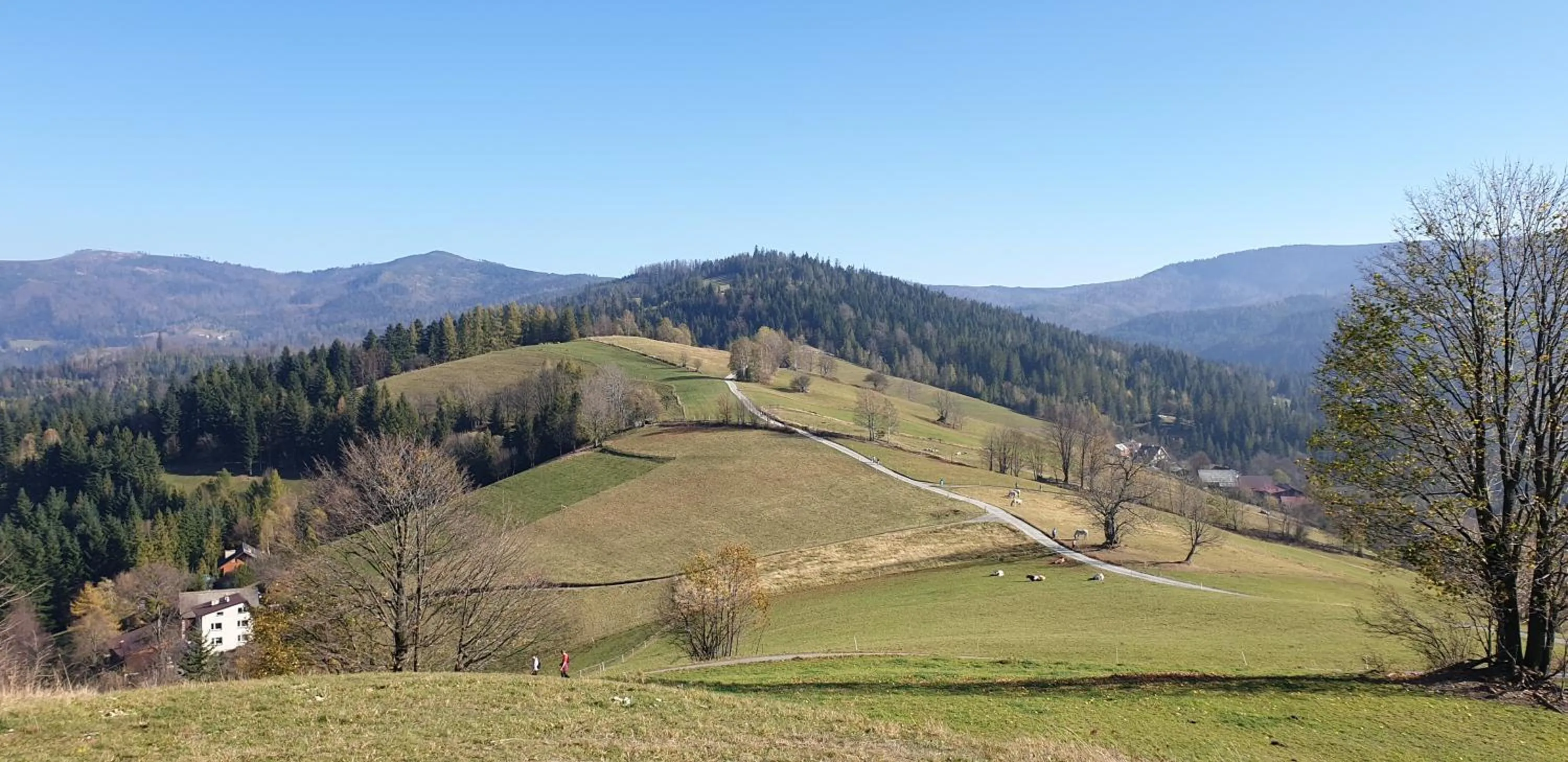 Natural landscape in Rezydencja Barrettski
