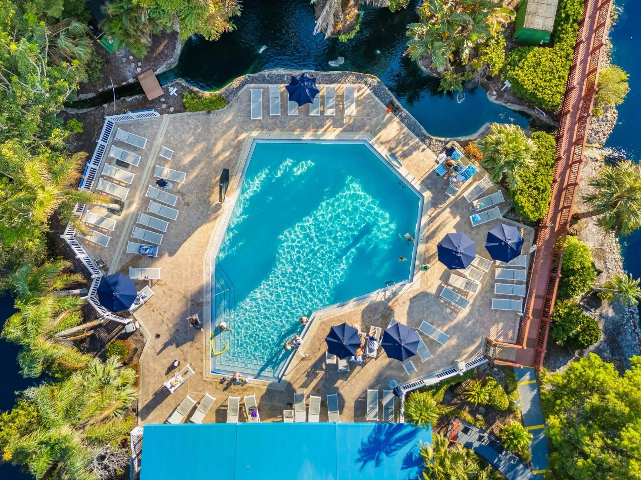 Swimming pool in Park Shore Resort by Mike Z Rentals