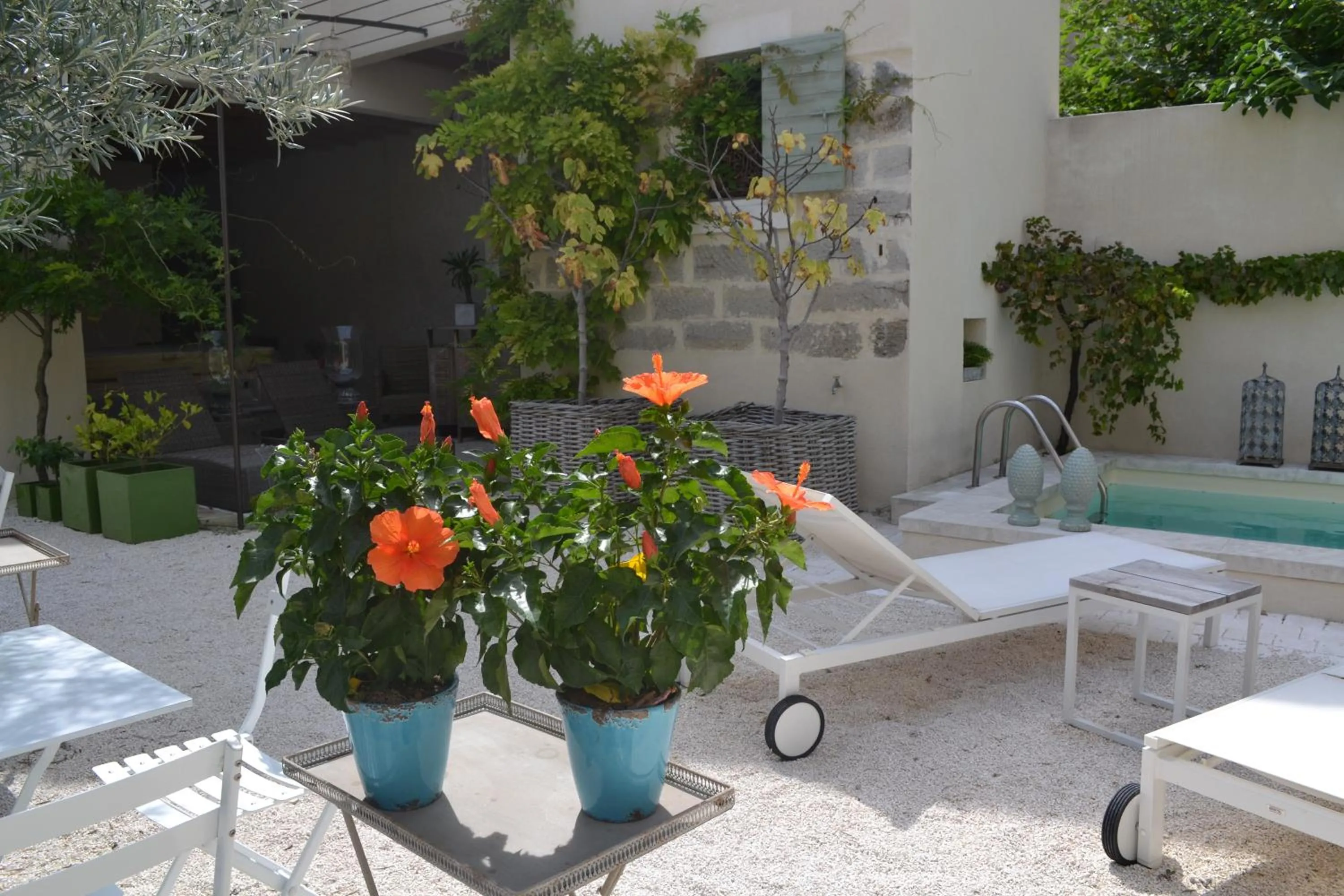 Day in Mas À l'Improviste