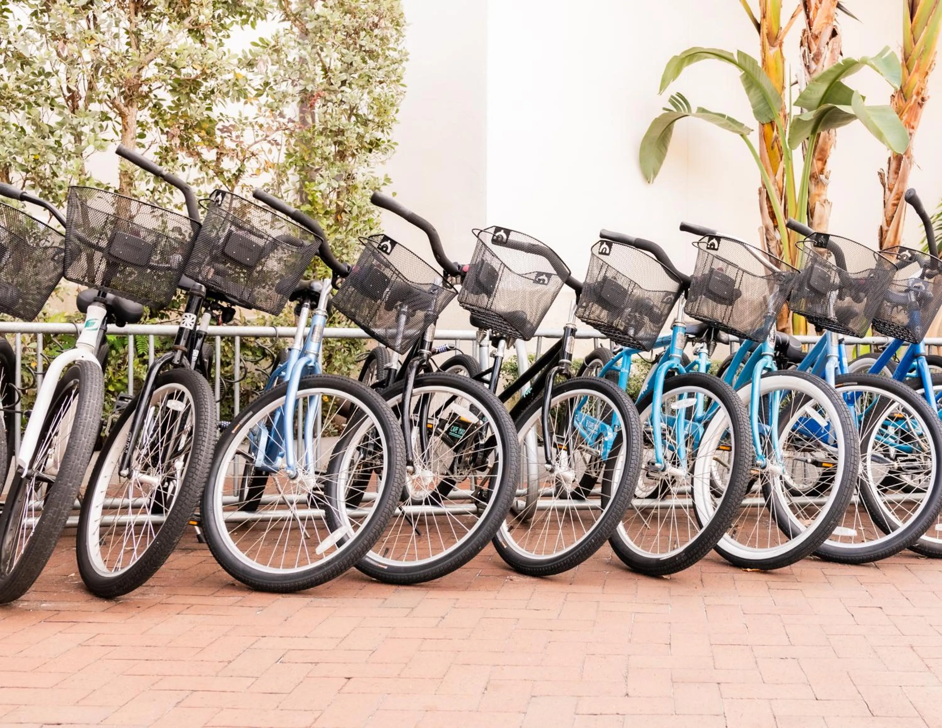 Activities in Bellasera Resort