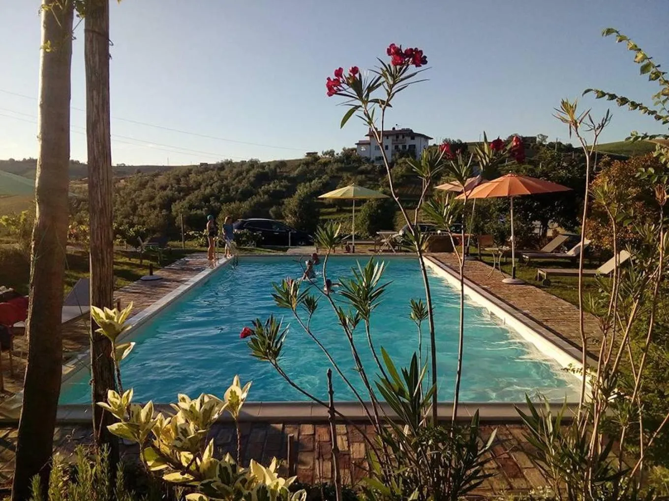 Agriturismo Cignale della Società Agricola Cignale srl