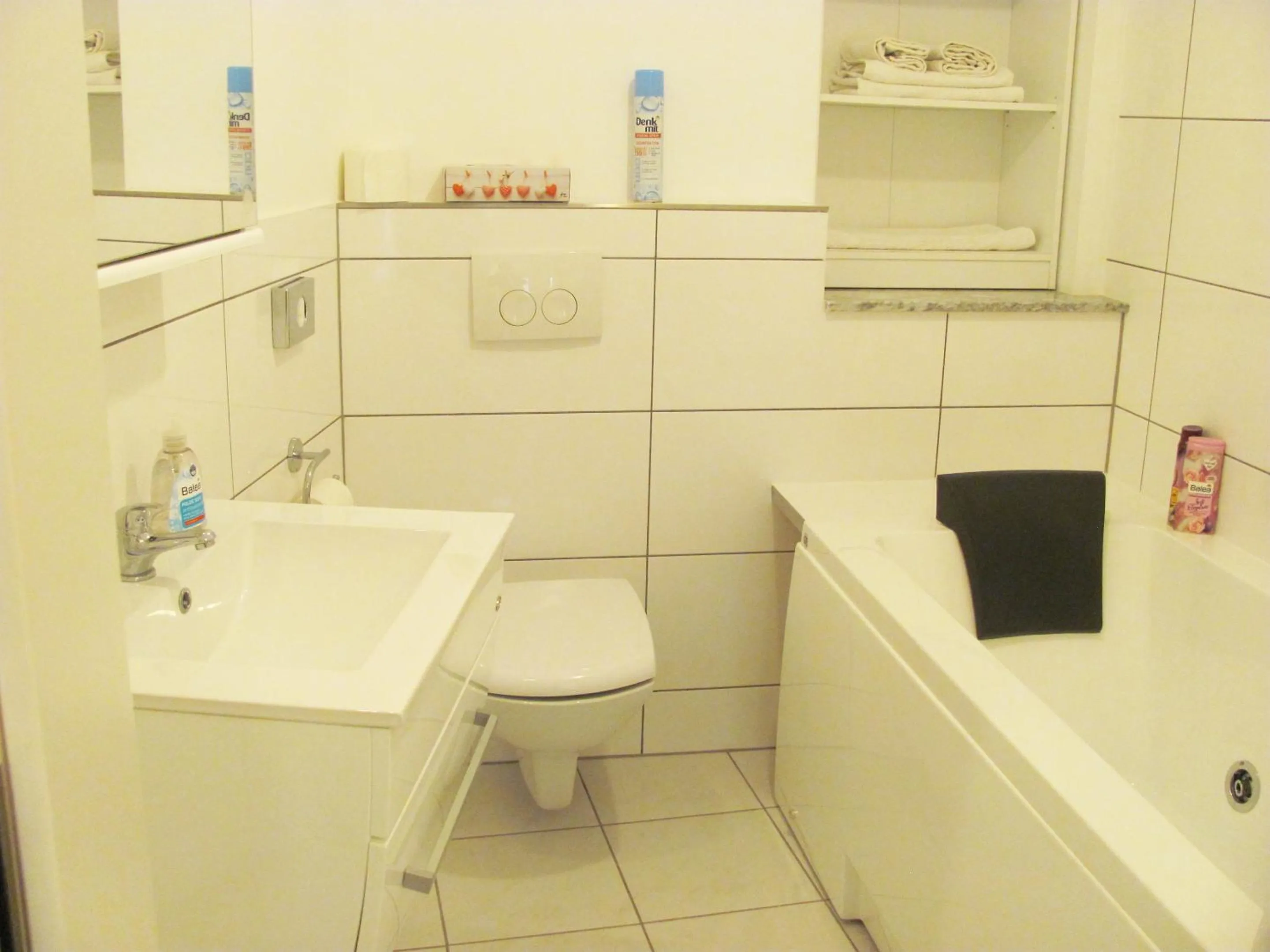 Bathroom in Apartment Storchenfärbe