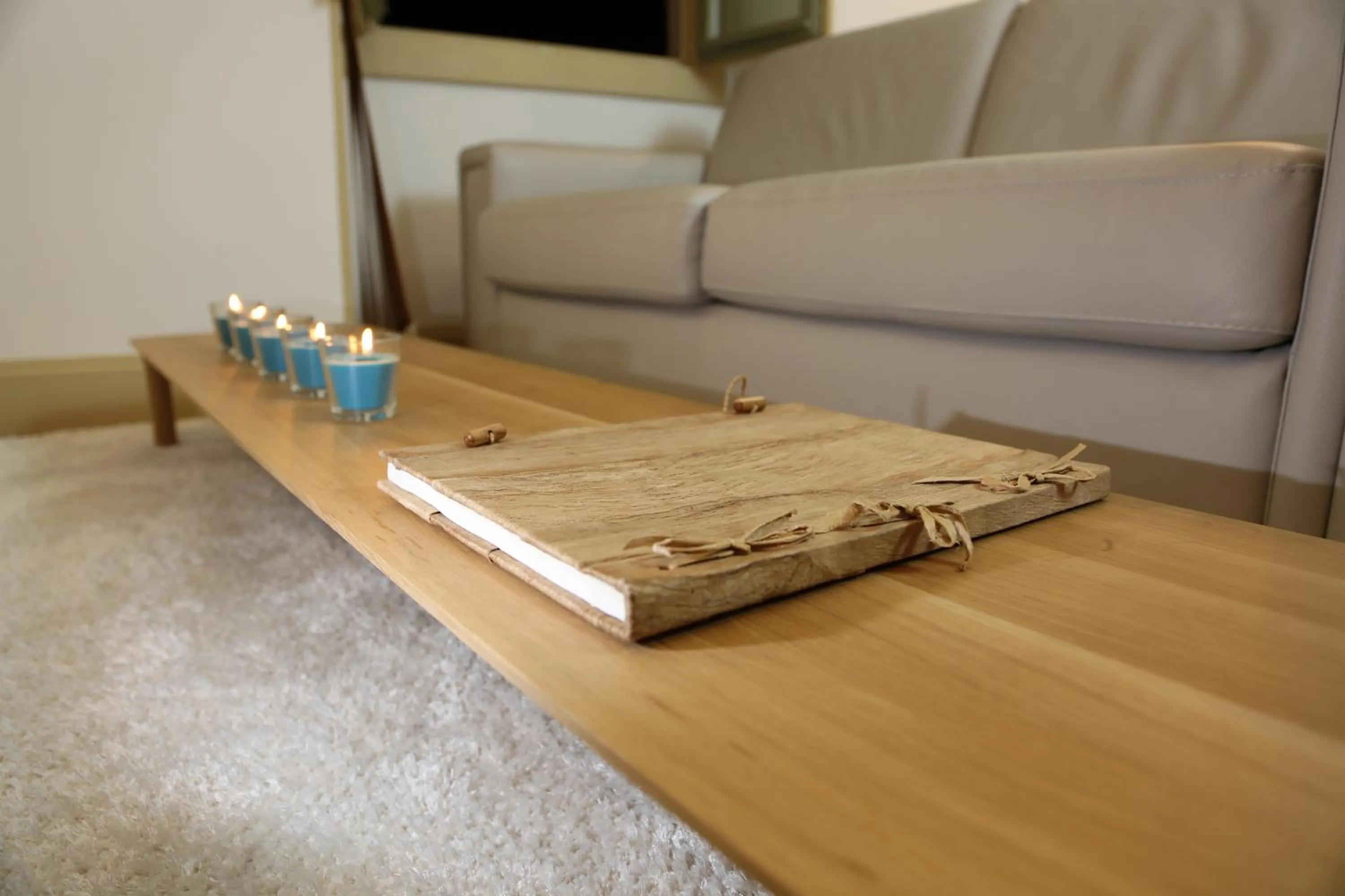 Living room in Nice Massena