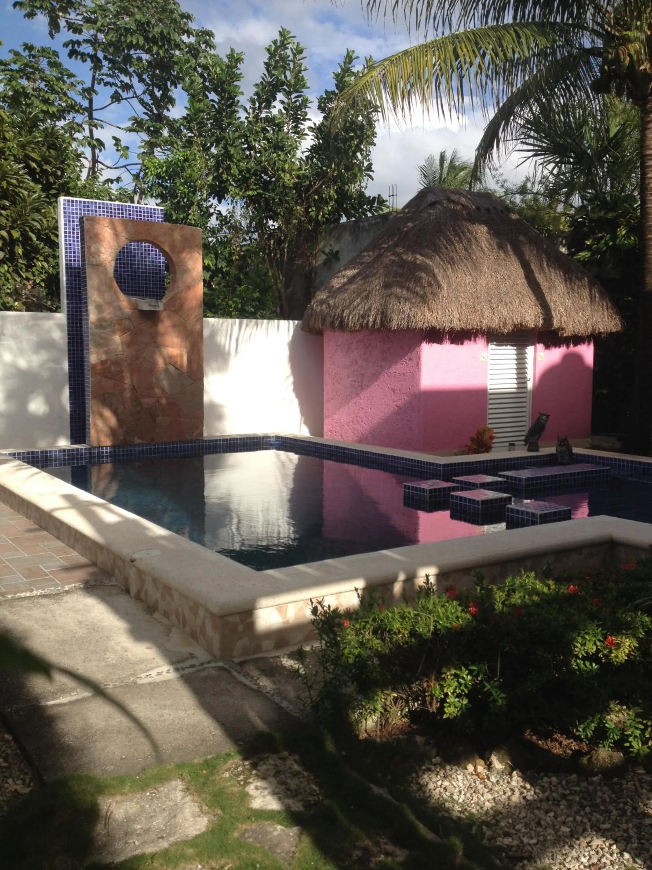 Swimming pool in Villa Escondida Guest House Cozumel Downtown