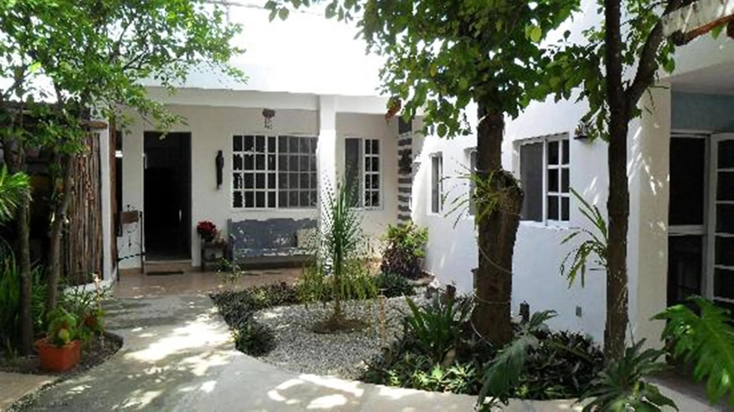 Garden in Villa Escondida Guest House Cozumel Downtown