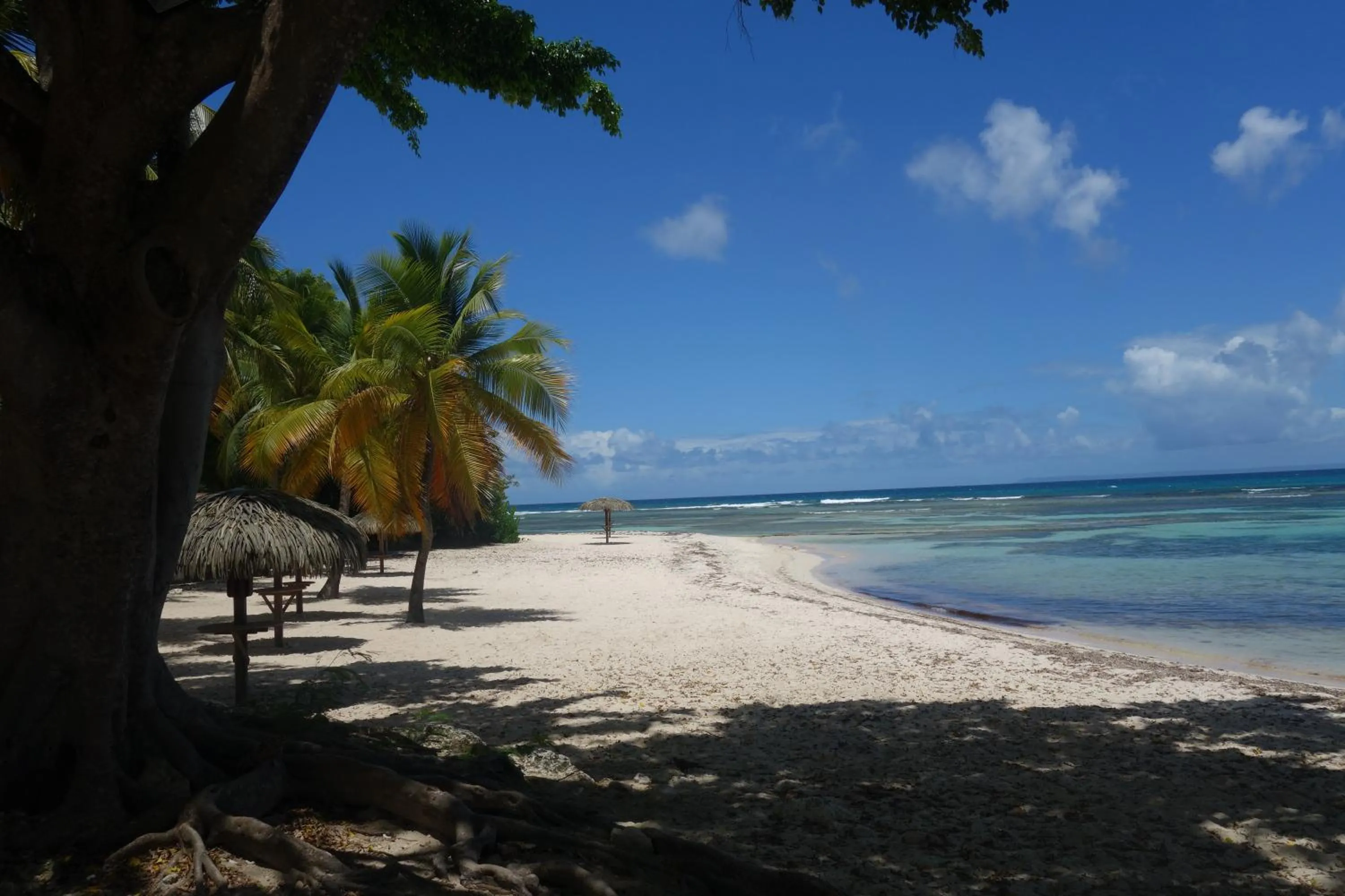 Beach in Les Floralies Gwada - Magnifique vue mer- avec Cuve à Eau