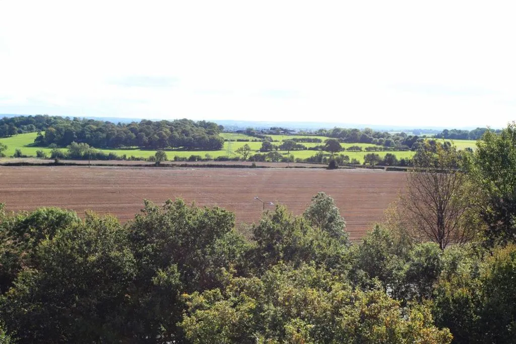 Natural landscape in Sapphire House Apartments