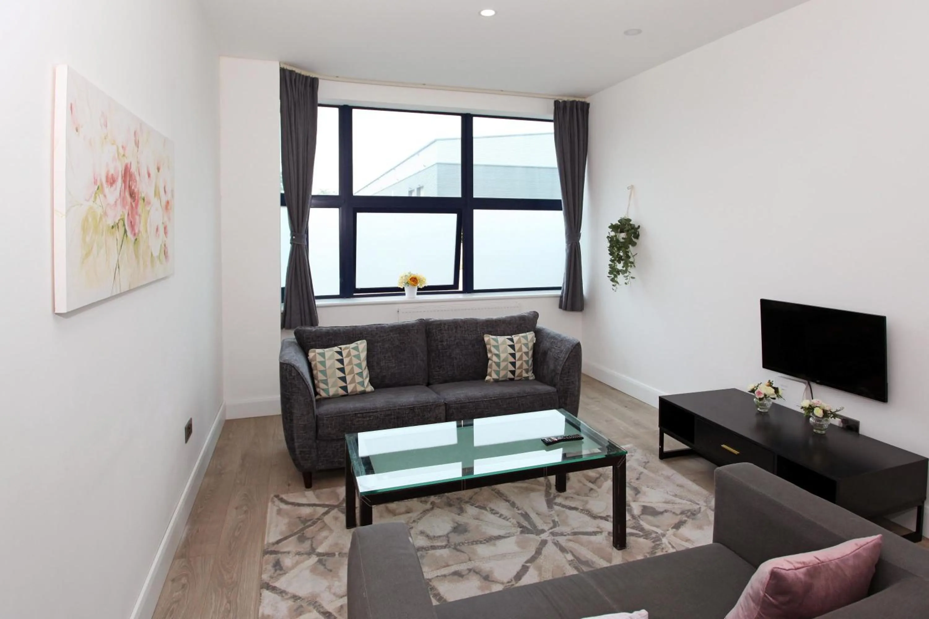 TV and multimedia in Sapphire House Apartments