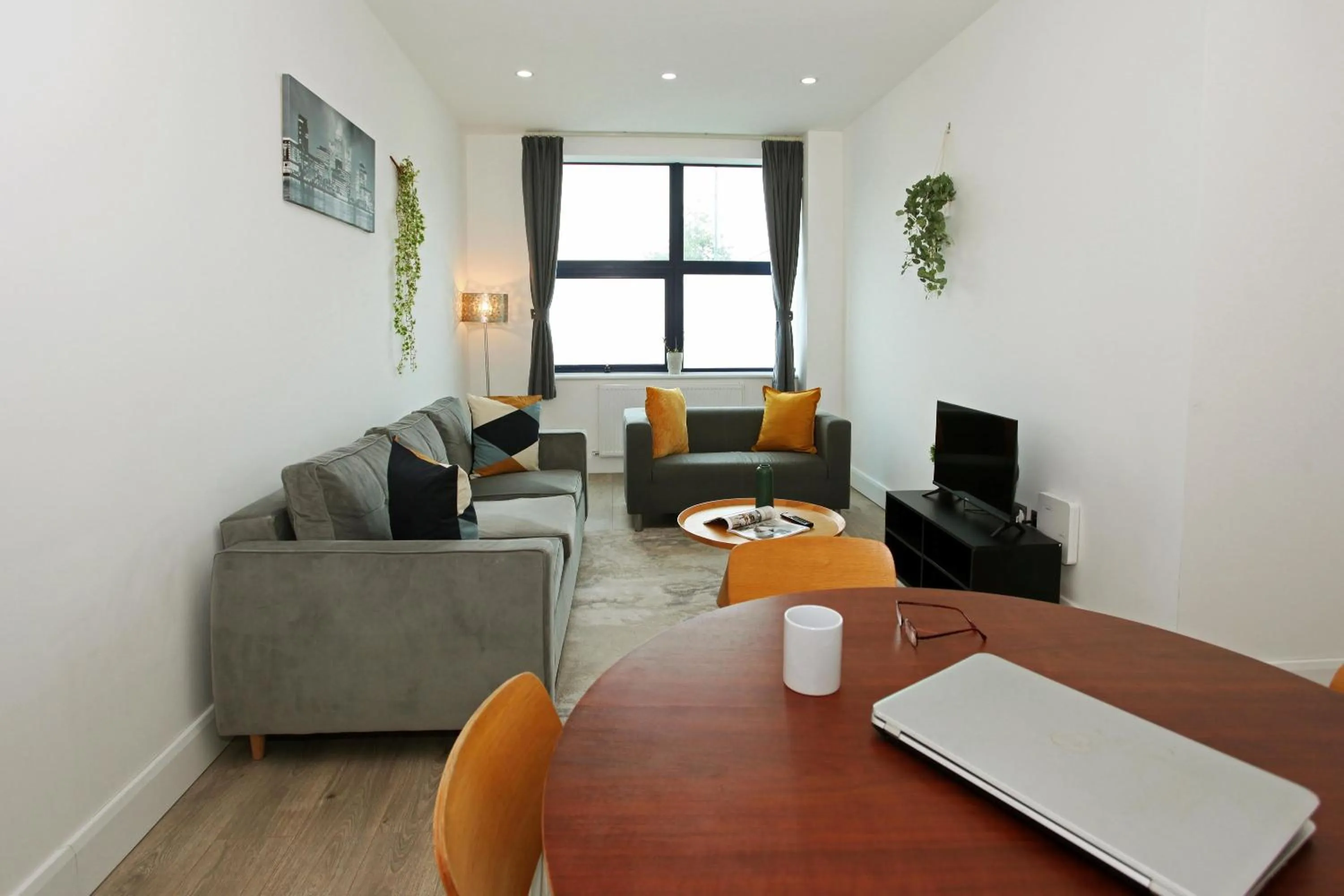 TV and multimedia in Sapphire House Apartments