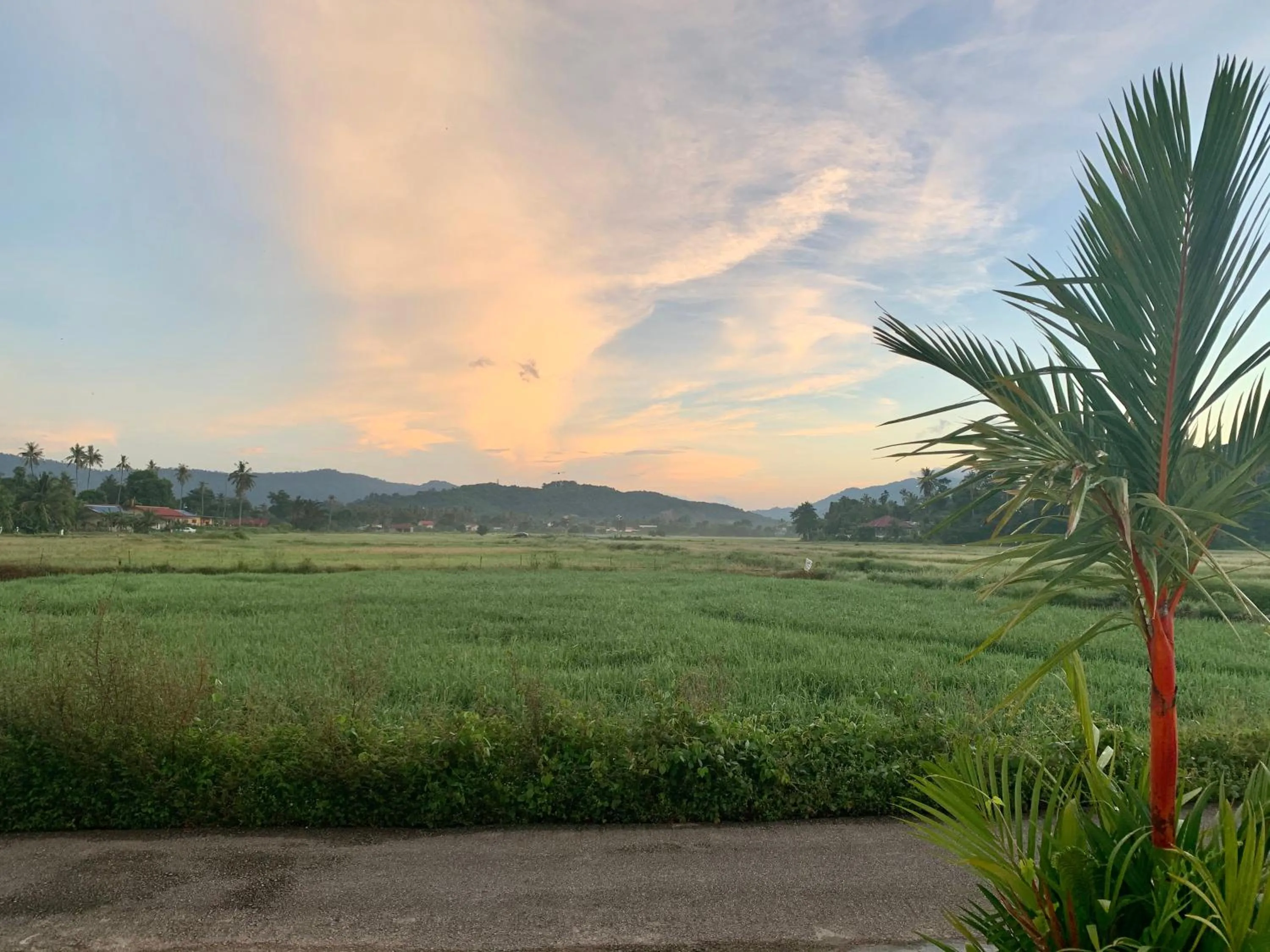 Natural landscape in The Paddy Field - Private Pool Villas