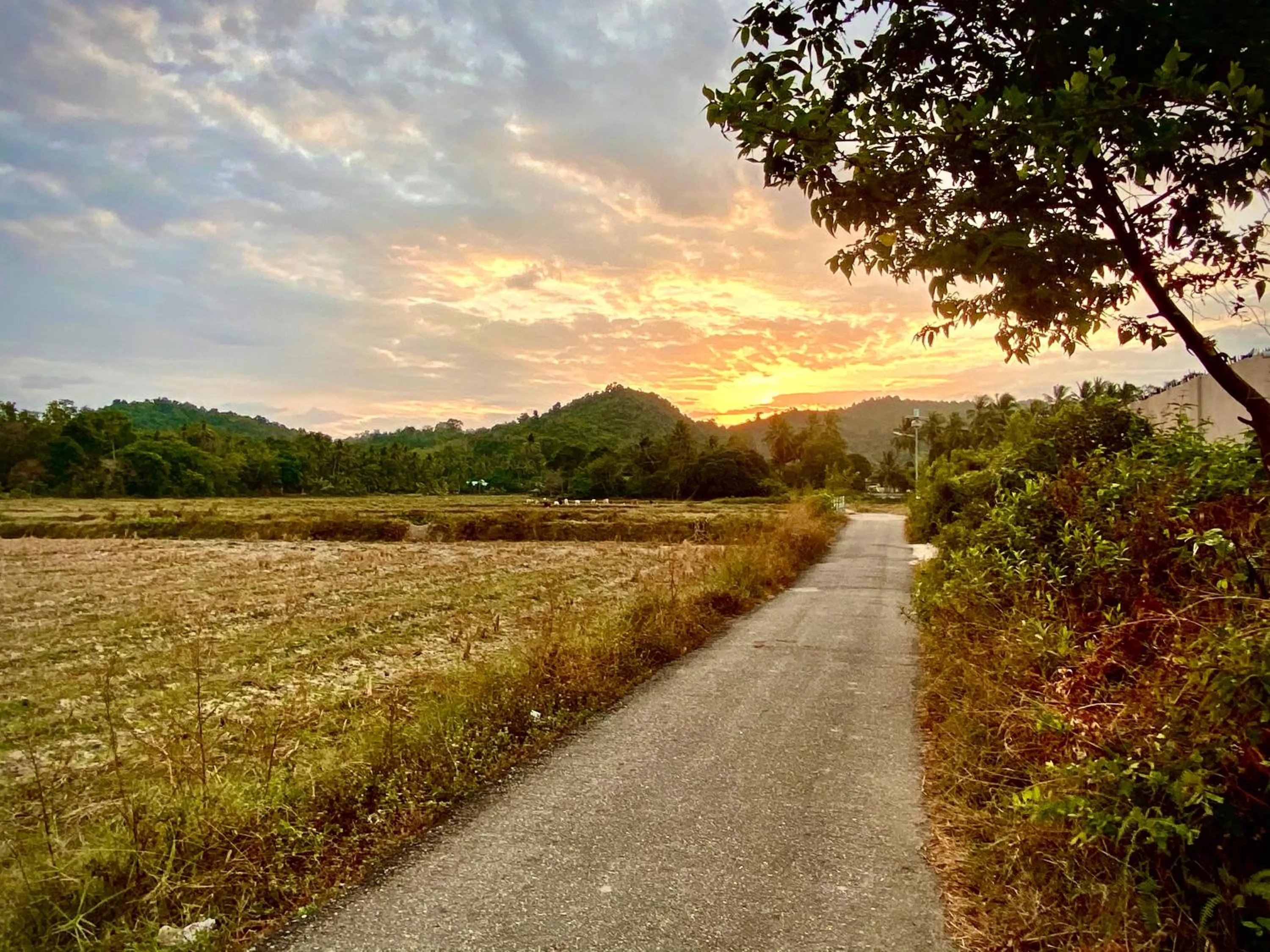 Natural landscape in The Paddy Field - Private Pool Villas