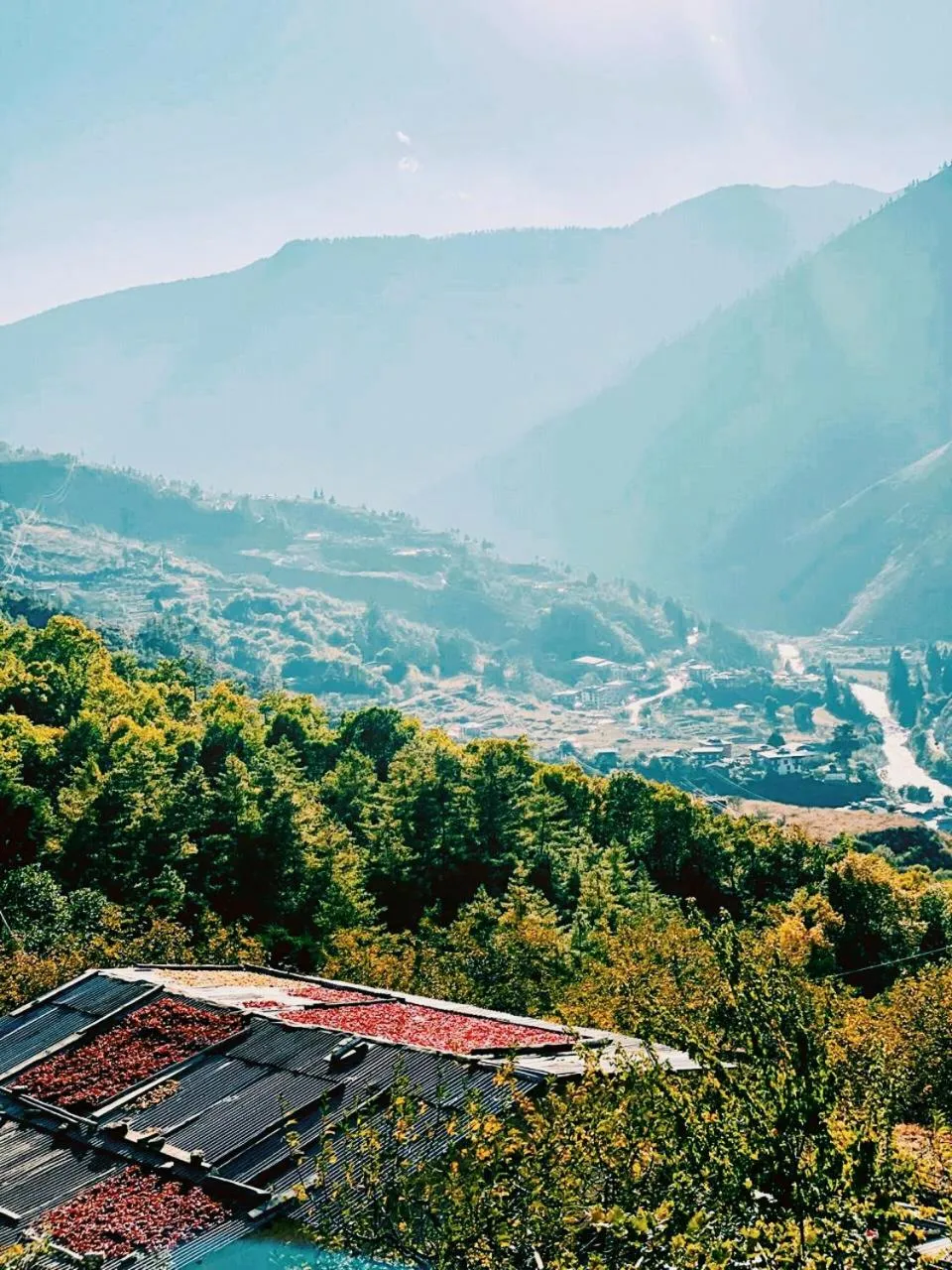 Mountain view in The Postcard Dewa, Thimphu, Bhutan