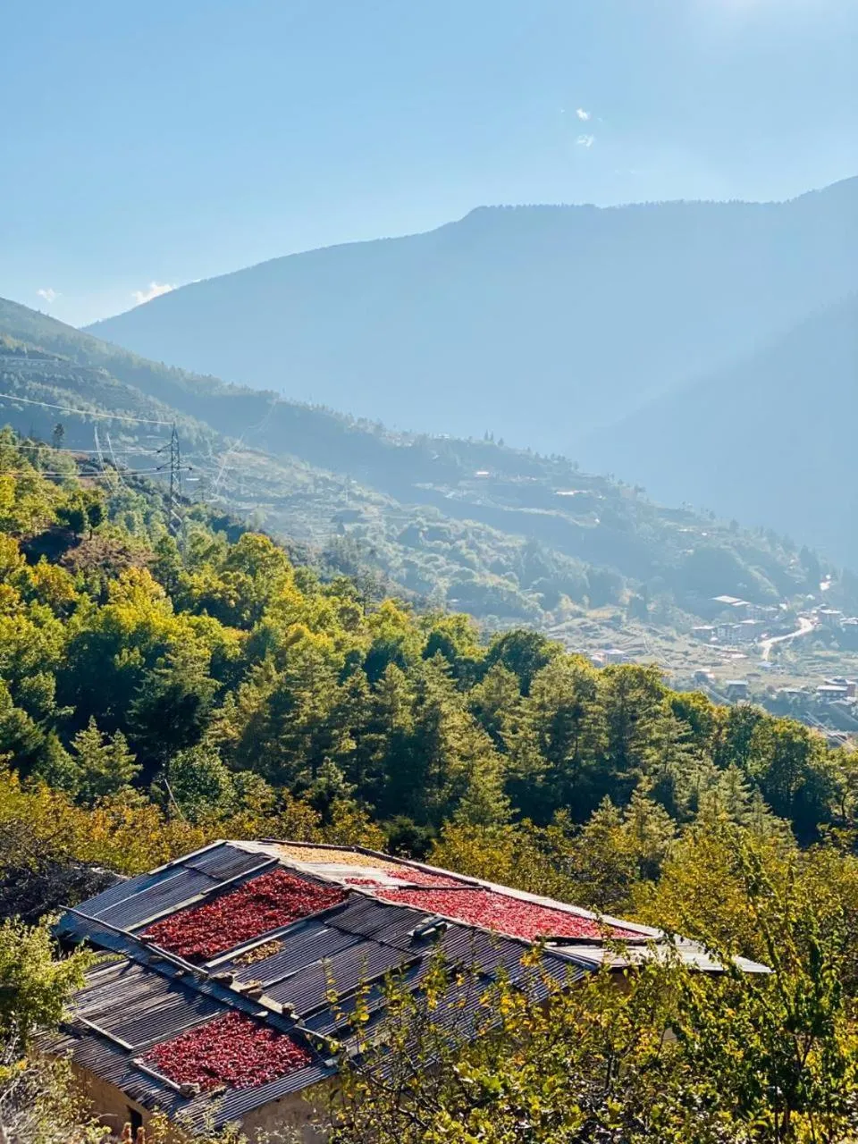 Mountain view in The Postcard Dewa, Thimphu, Bhutan