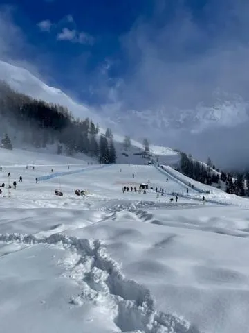 Edelweiss Hotel Champoluc