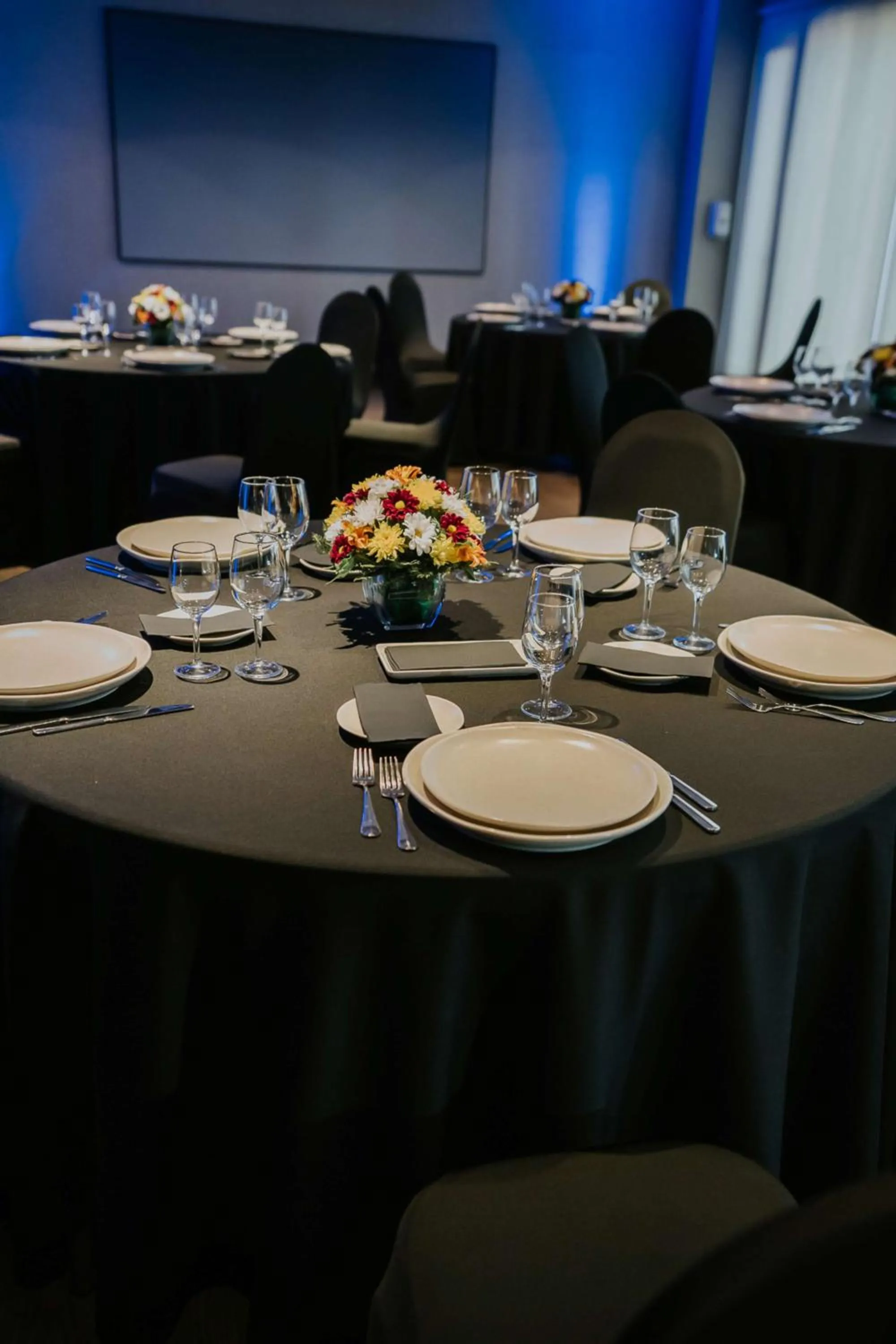 Meeting/conference room in Best Western Ferrat