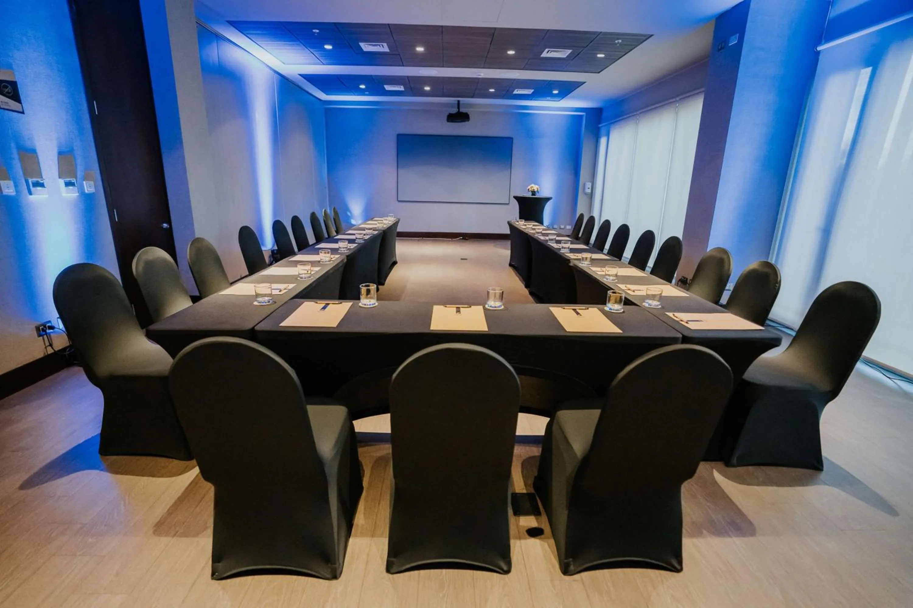 Meeting/conference room in Best Western Ferrat