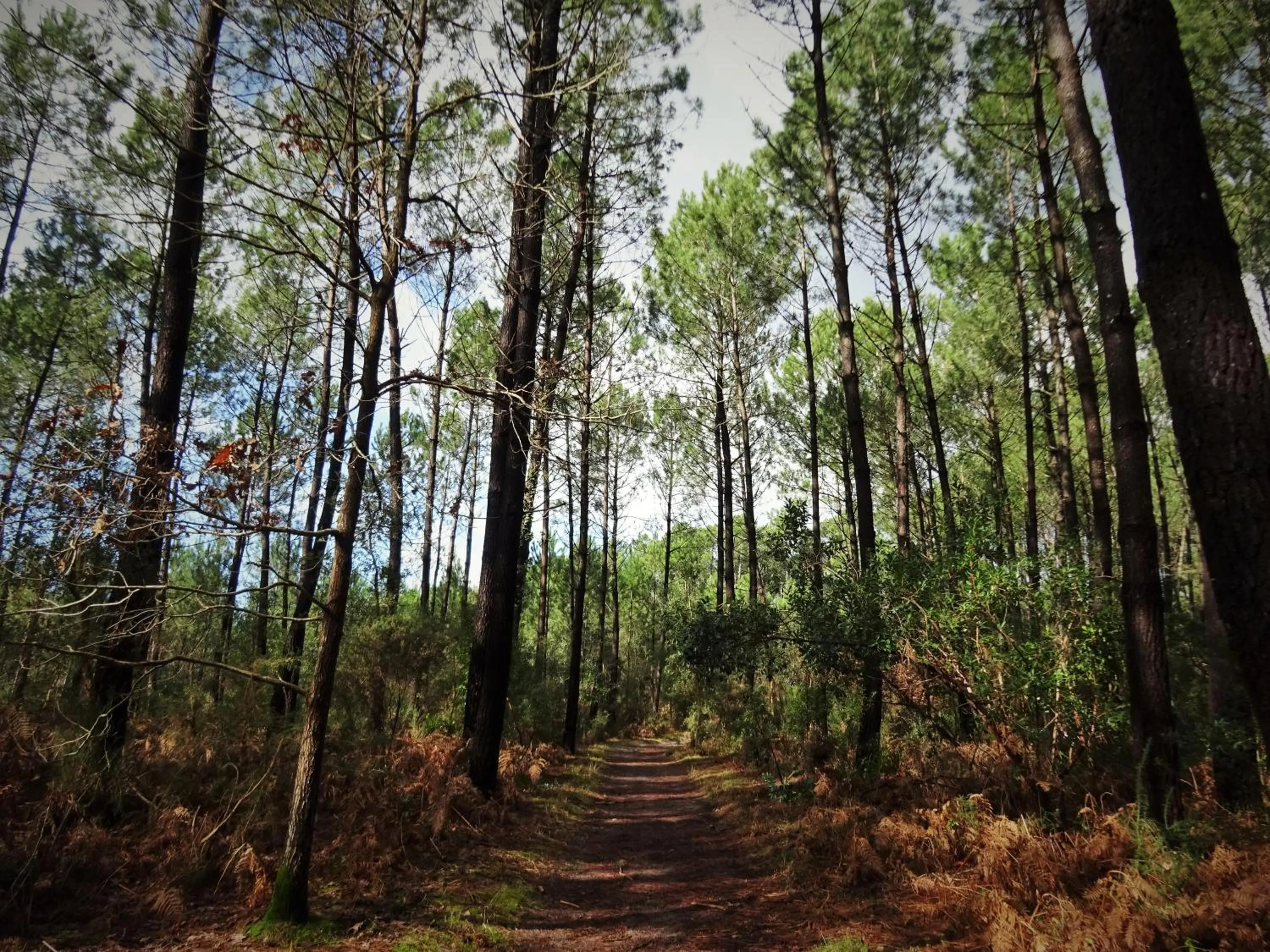 Natural landscape in Hotel Le Pavillon Bleu