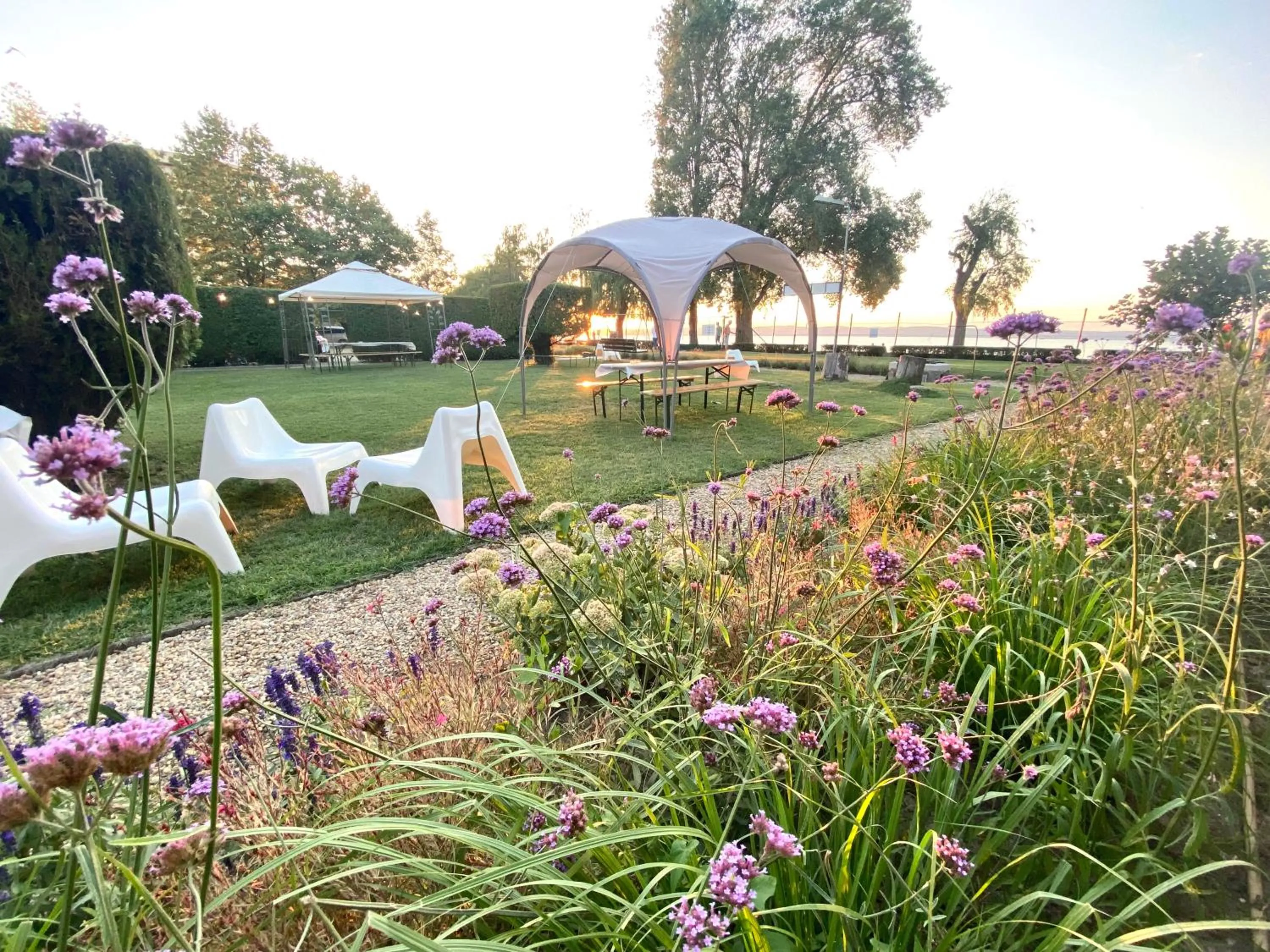 Garden in PLAGE-ON Panzió