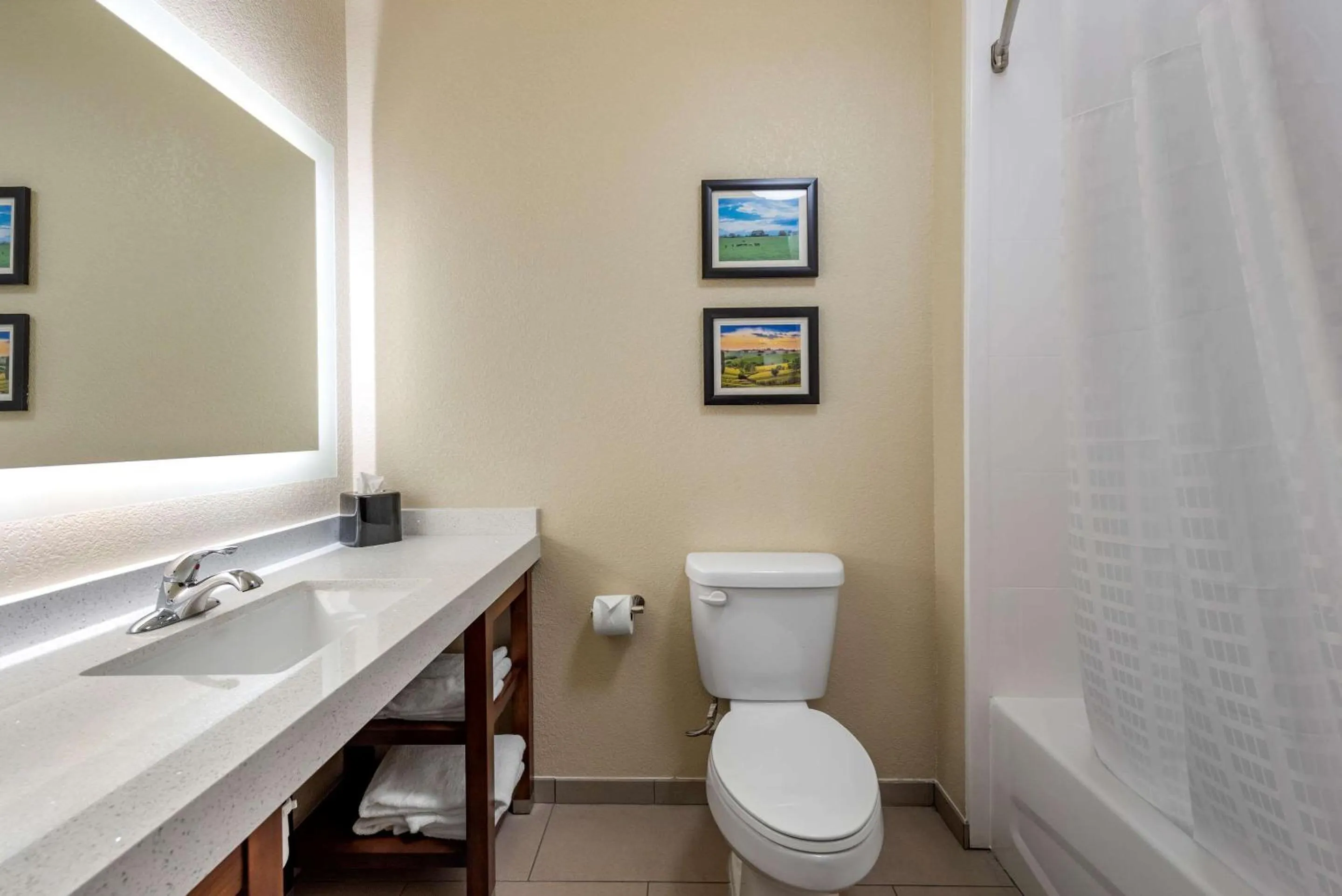 Photo of the whole room in Comfort Suites Dry Ridge