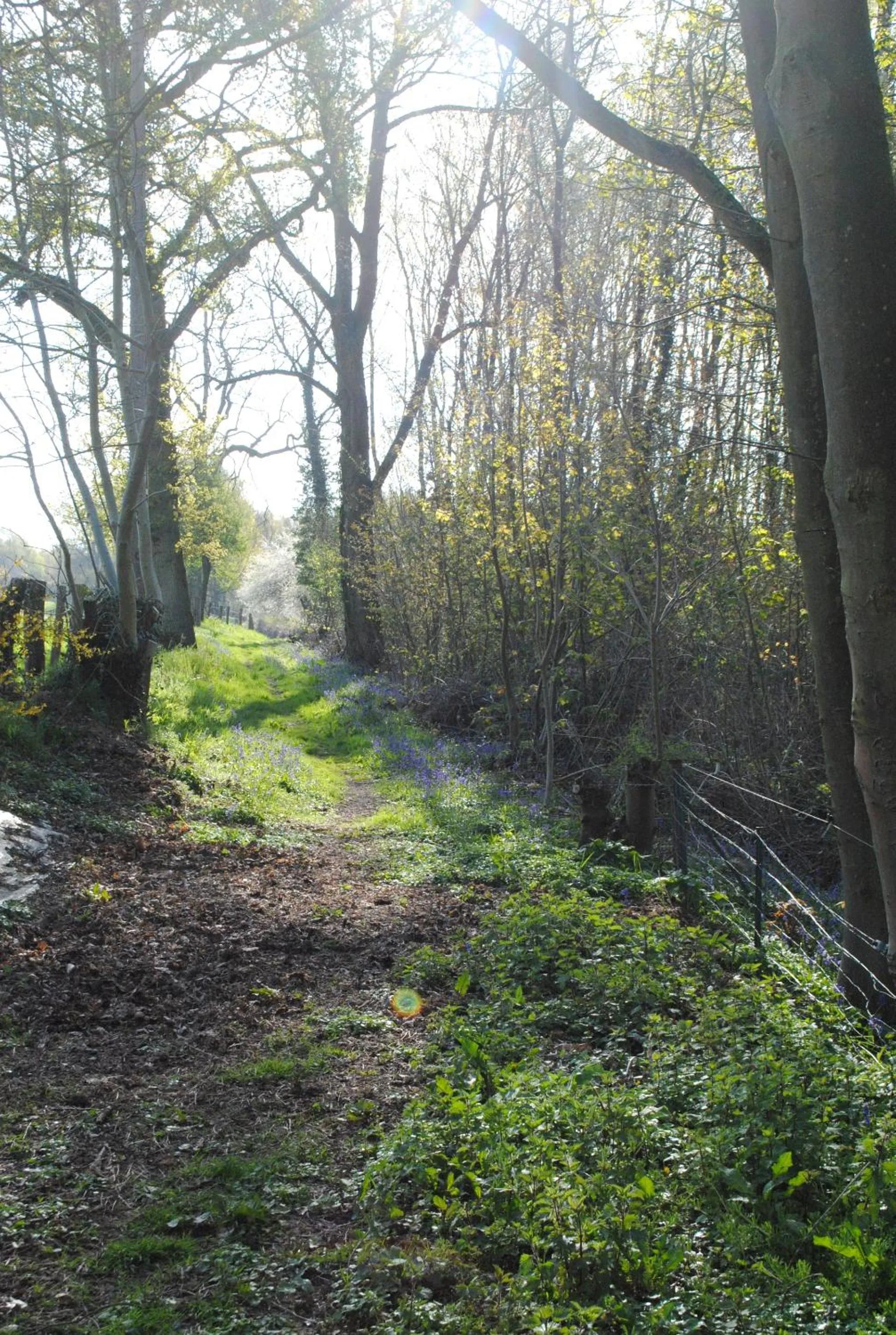 Off site in Chambres d'hôtes La Tribu