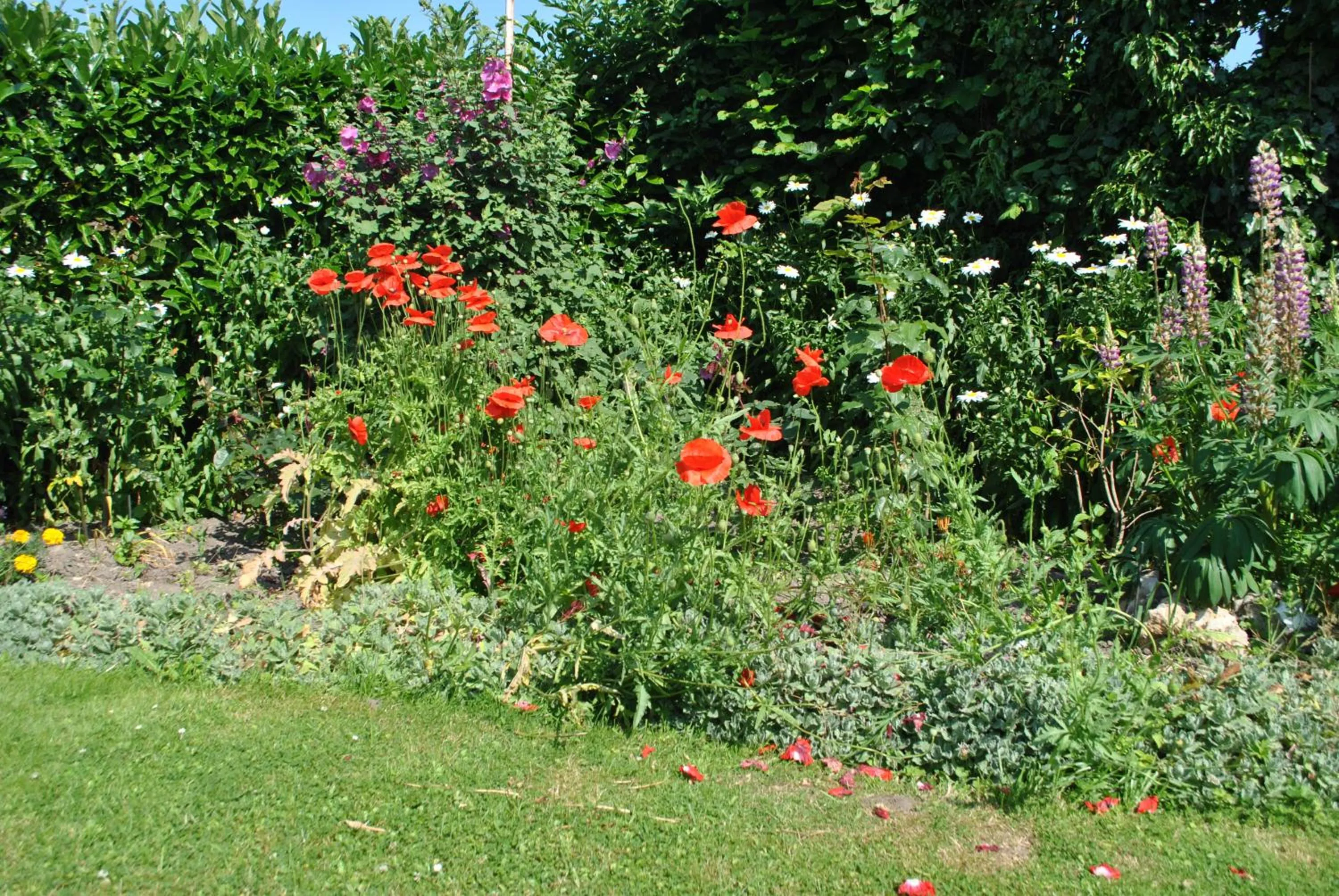 Garden view in Chambres d'hôtes La Tribu